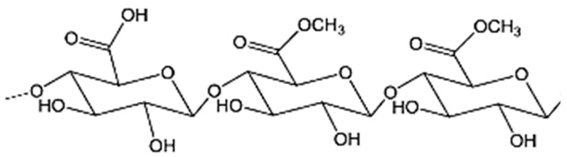 Pharmaceutics 15 02639 i003