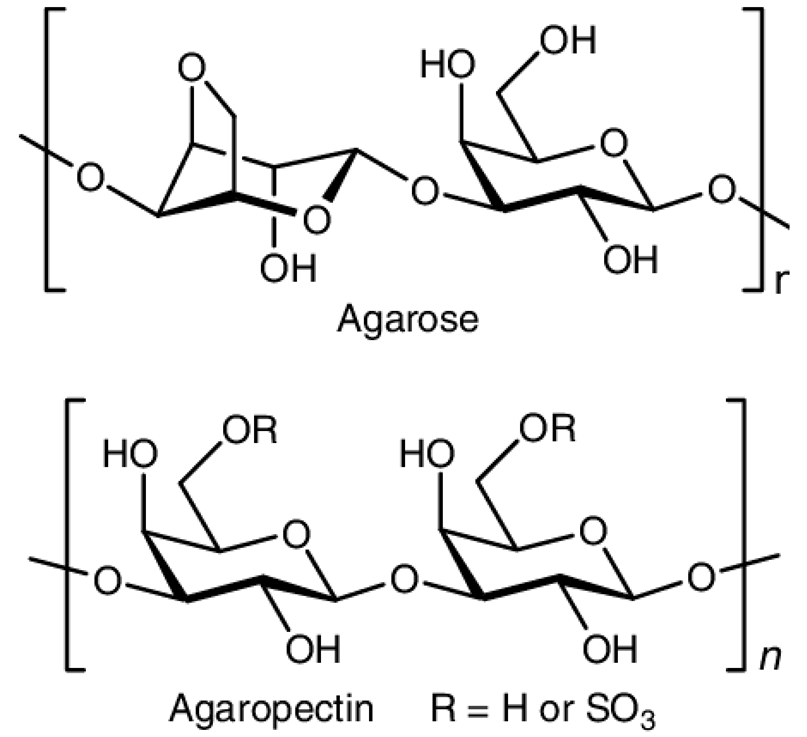 Pharmaceutics 15 02639 i007