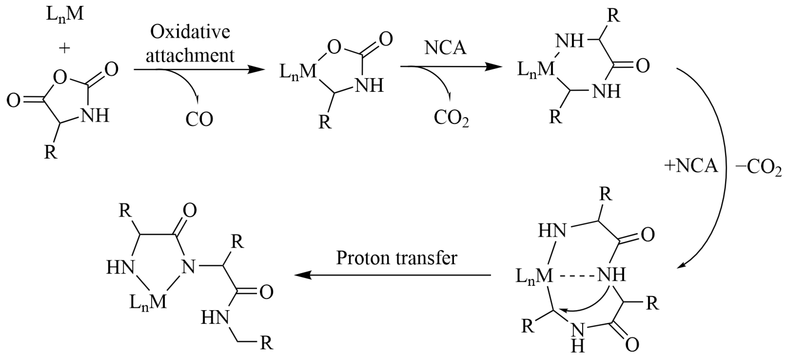 Pharmaceutics | Free Full-Text | Polypeptide-Based Systems: From Synthesis  to Application in Drug Delivery