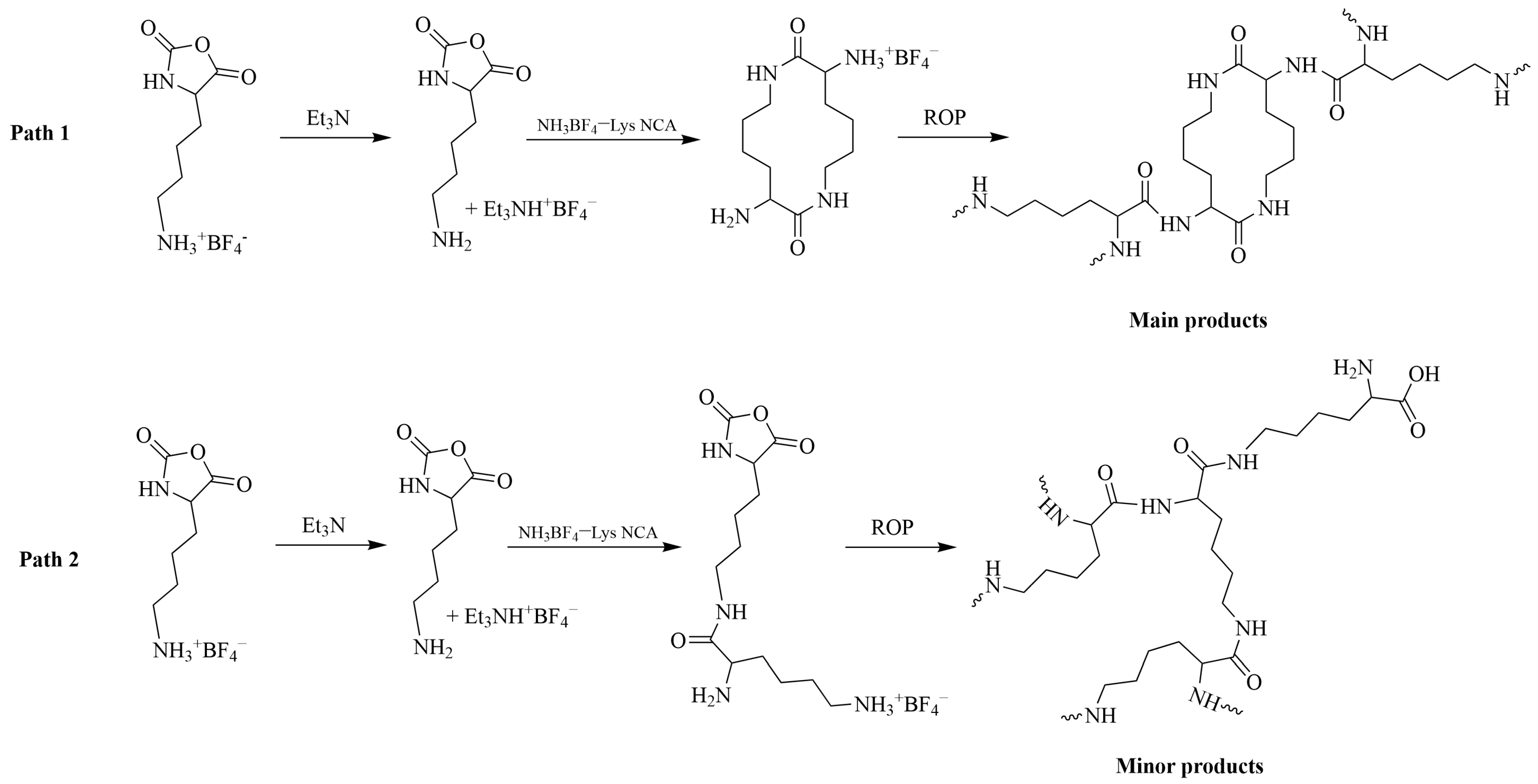 Pharmaceutics 15 02641 g012 Pharmaceutics 15 02641 g012