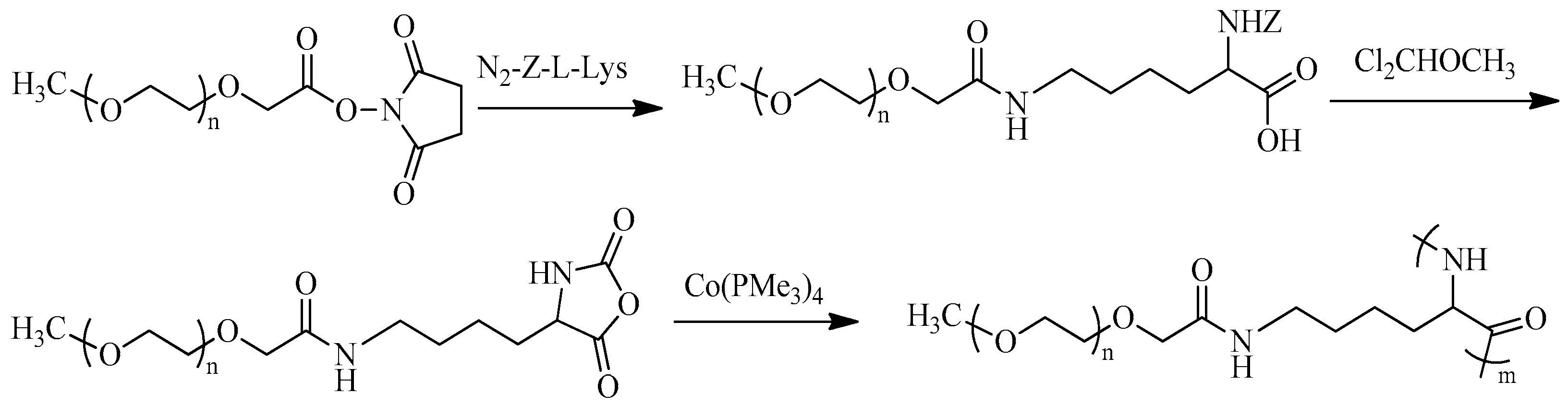 Pharmaceutics 15 02641 g013 Pharmaceutics 15 02641 g013