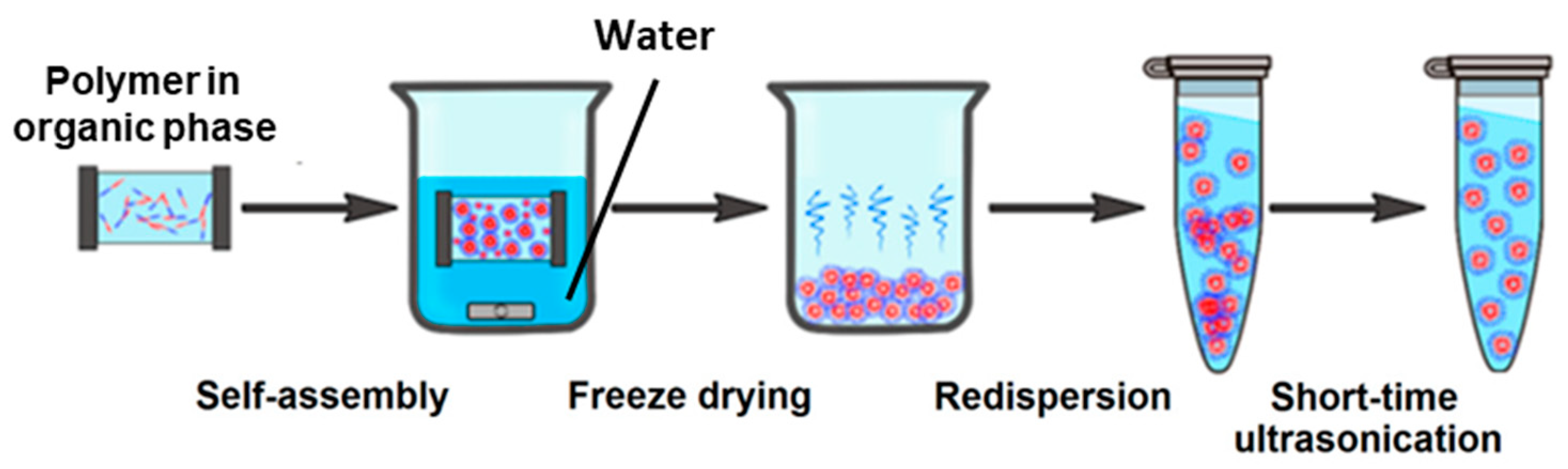Pharmaceutics 15 02641 g017 Pharmaceutics 15 02641 g017