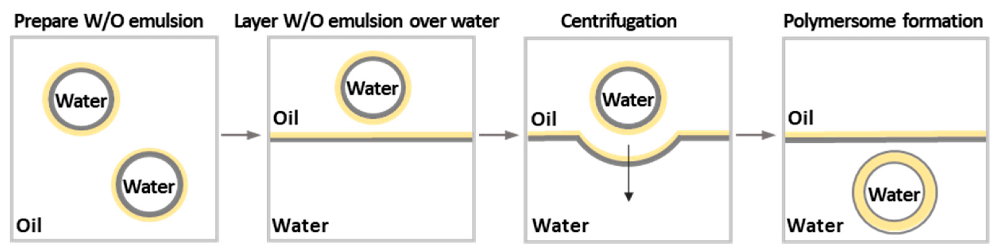 Pharmaceutics 15 02641 g020 Pharmaceutics 15 02641 g020