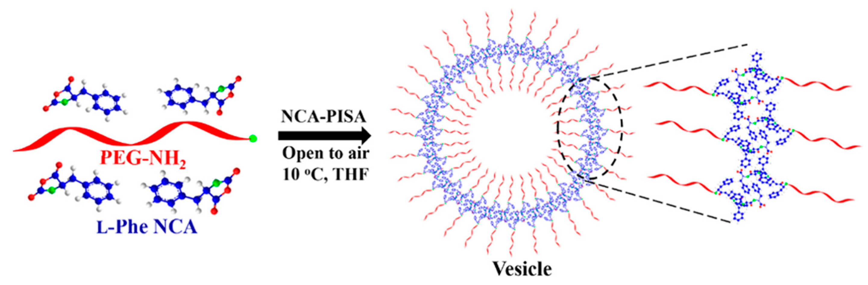 Pharmaceutics 15 02641 g023 Pharmaceutics 15 02641 g023