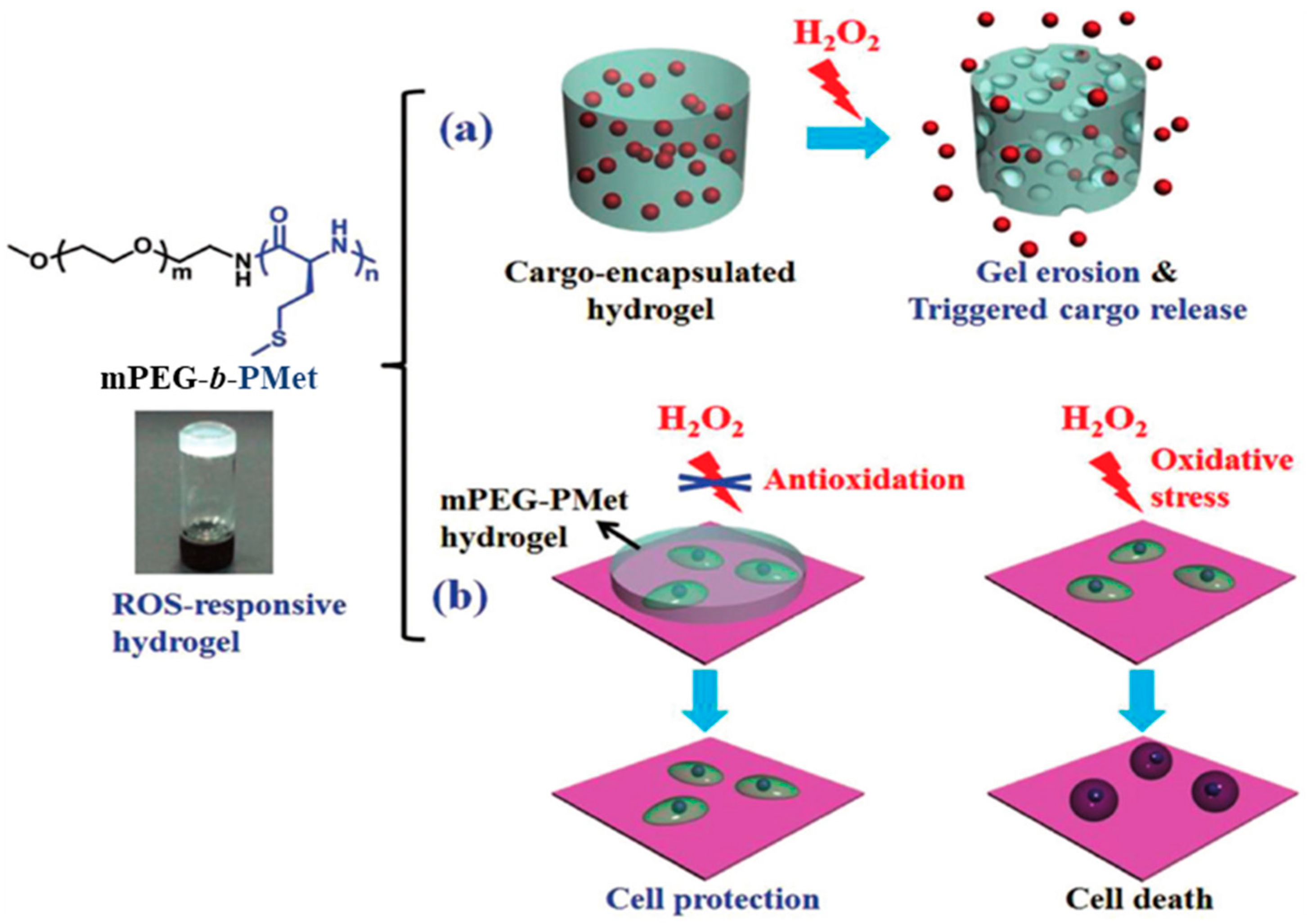 Pharmaceutics 15 02641 g025 Pharmaceutics 15 02641 g025