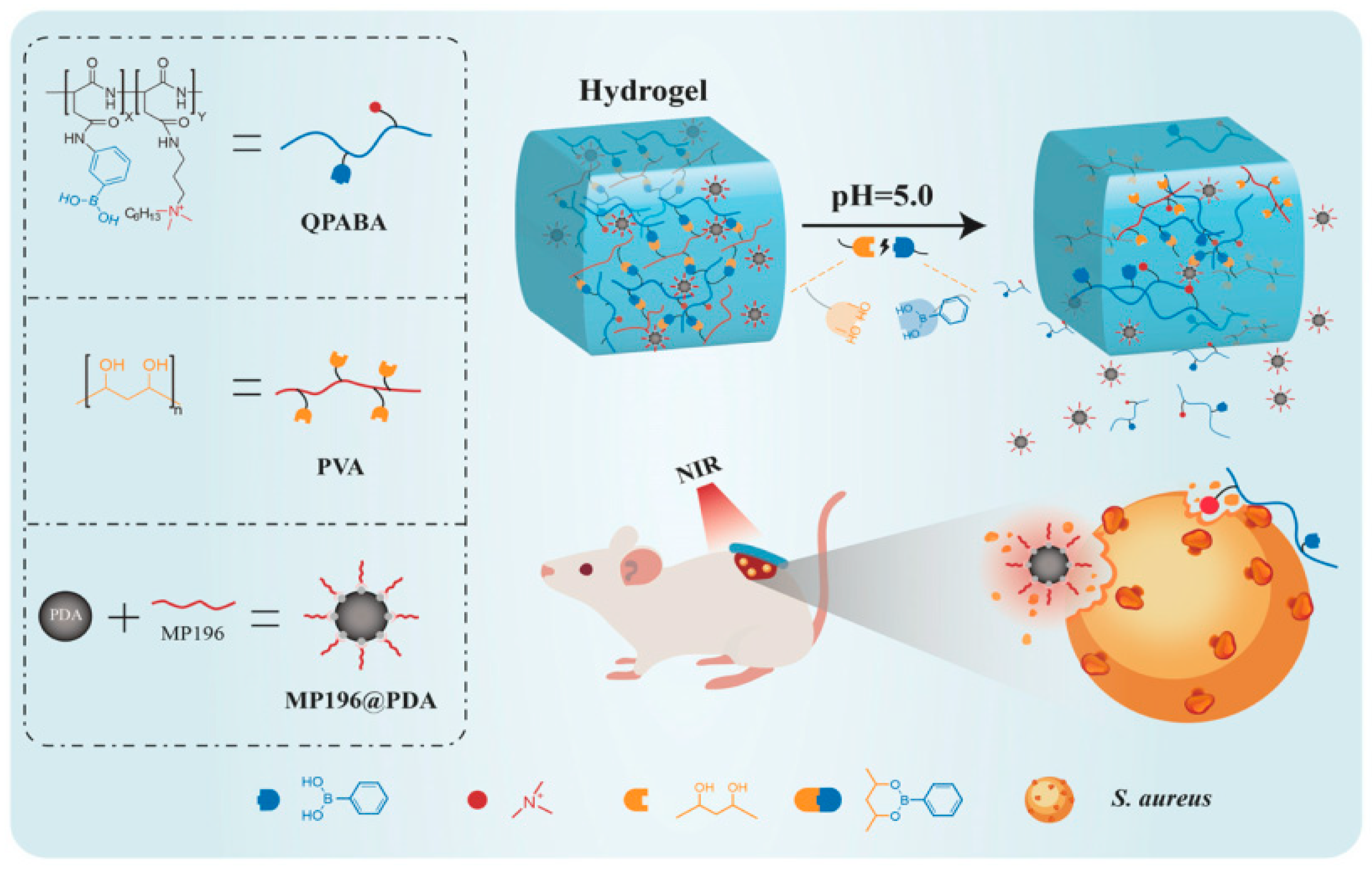 Pharmaceutics | Free Full-Text | Polypeptide-Based Systems: From Synthesis  to Application in Drug Delivery