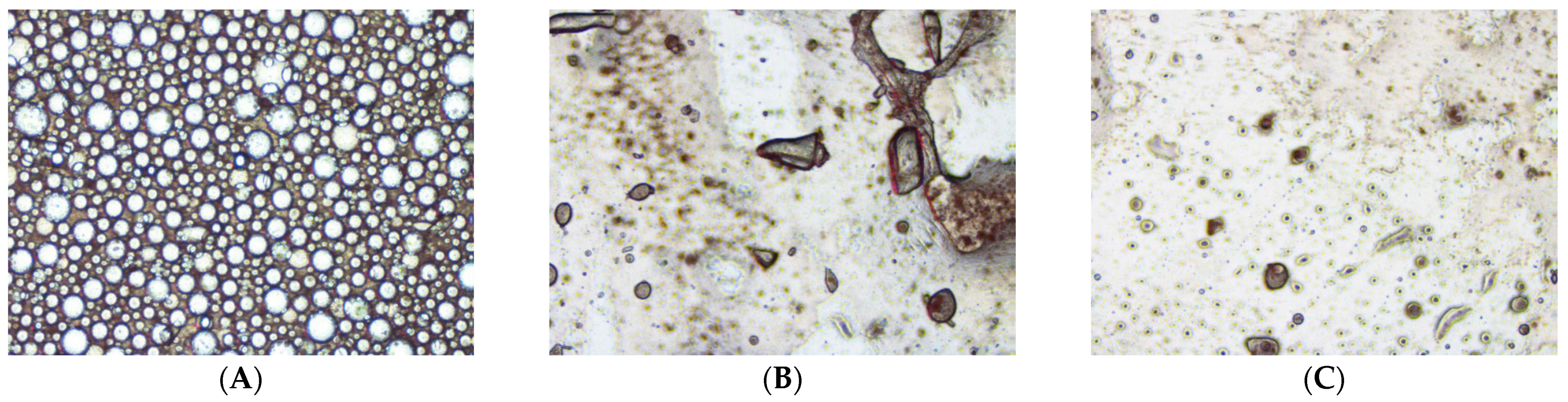 Pharmaceutics 15 02642 g003