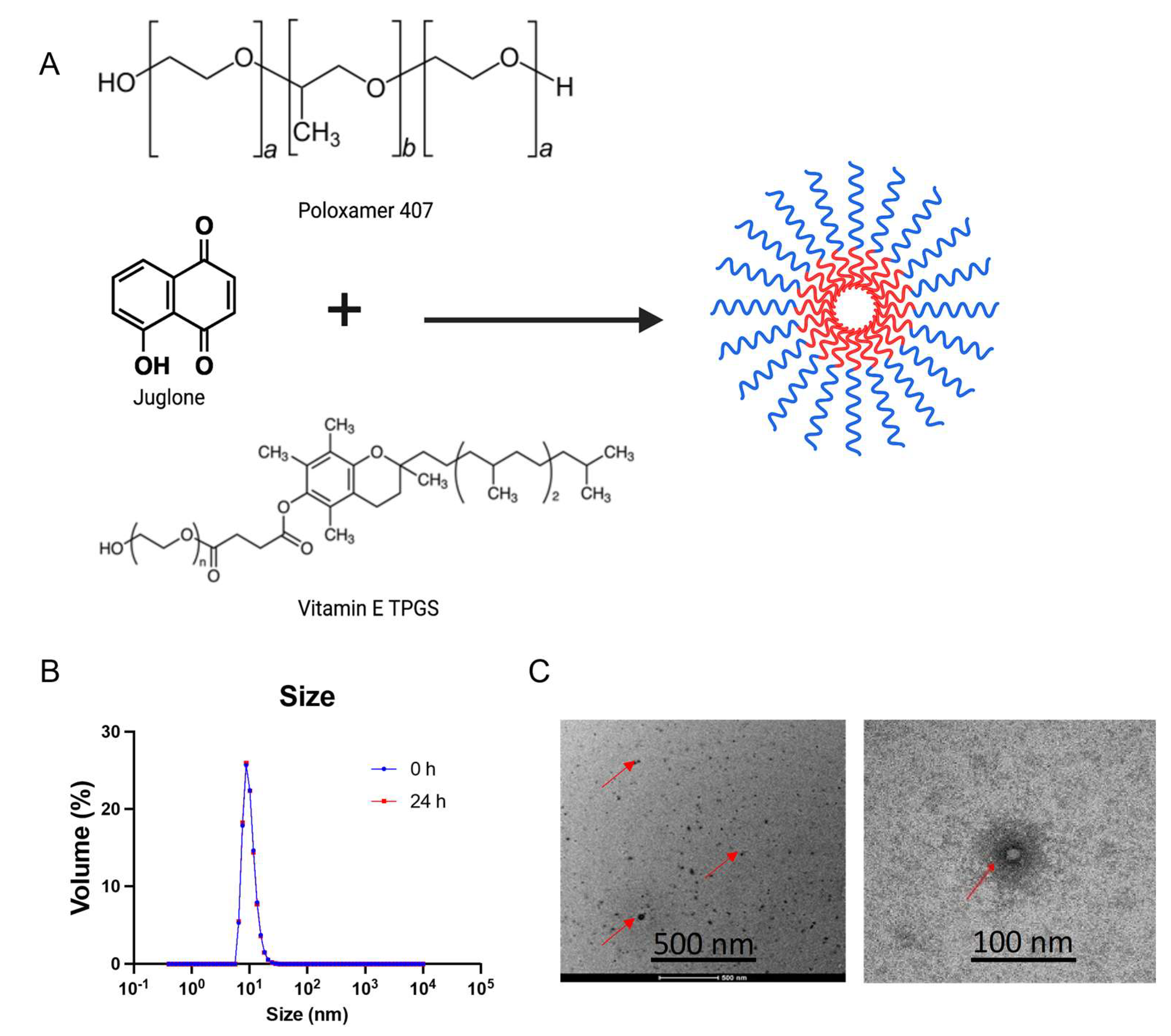 Pharmaceutics 15 02651 g001