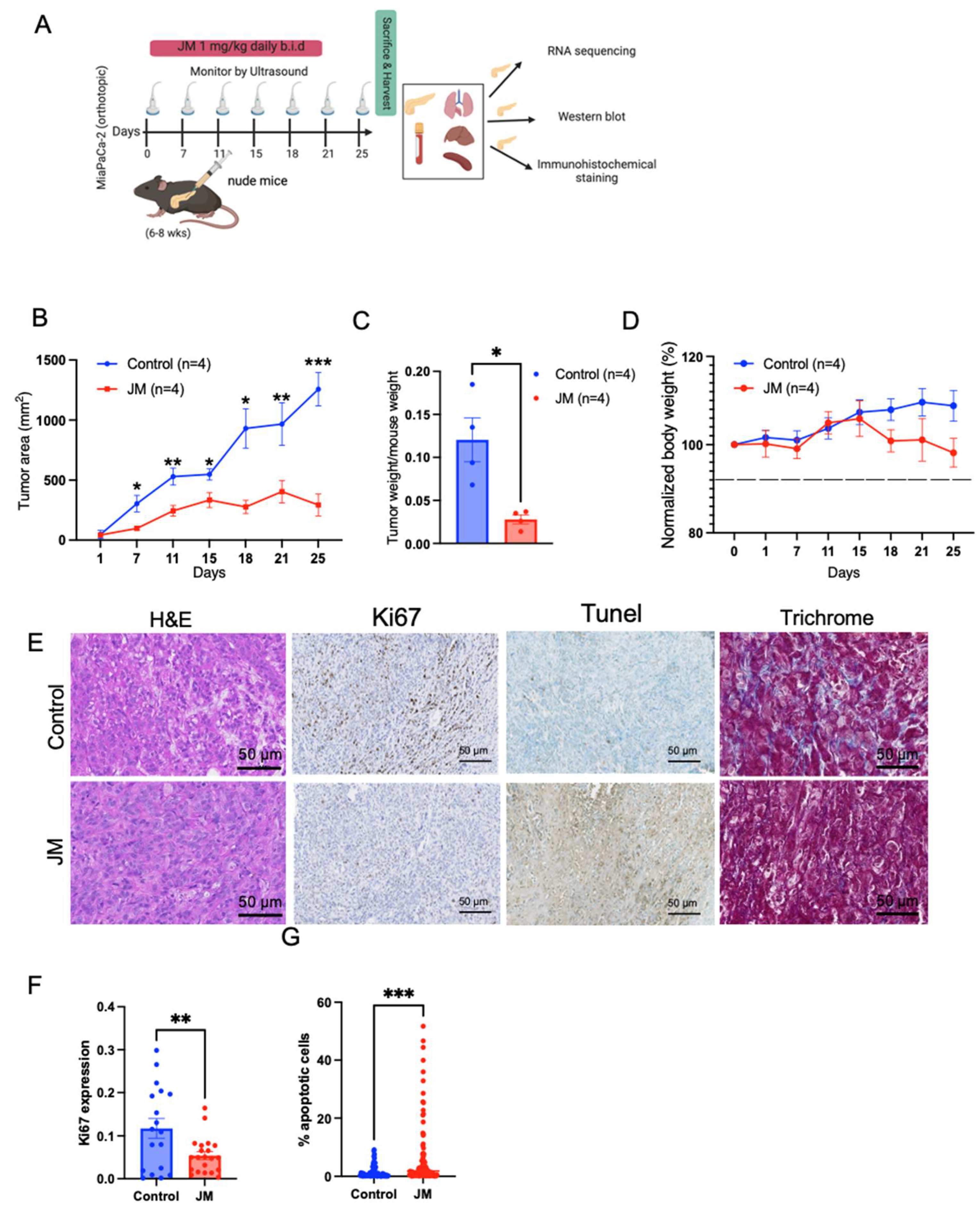 Pharmaceutics 15 02651 g004