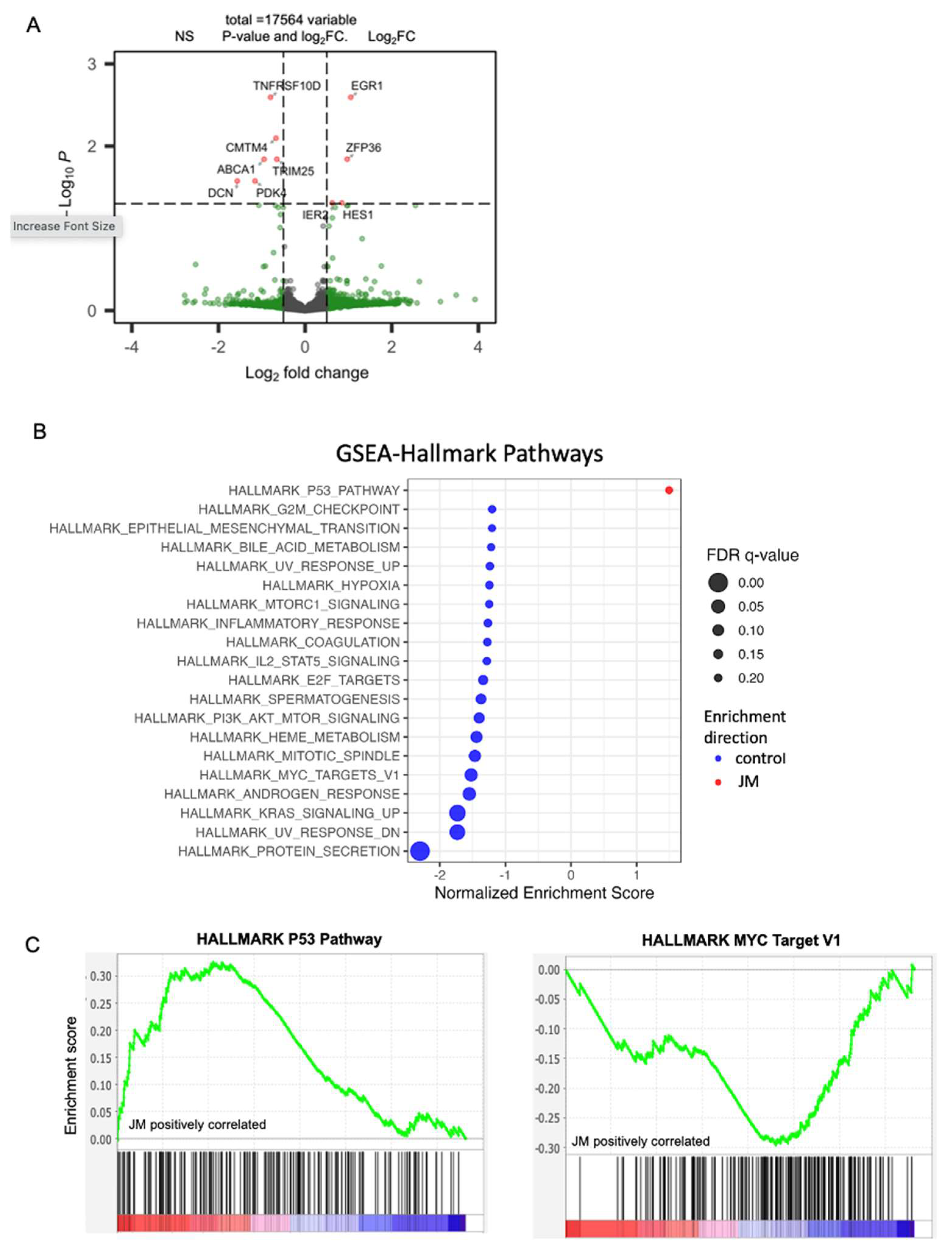 Pharmaceutics 15 02651 g005a