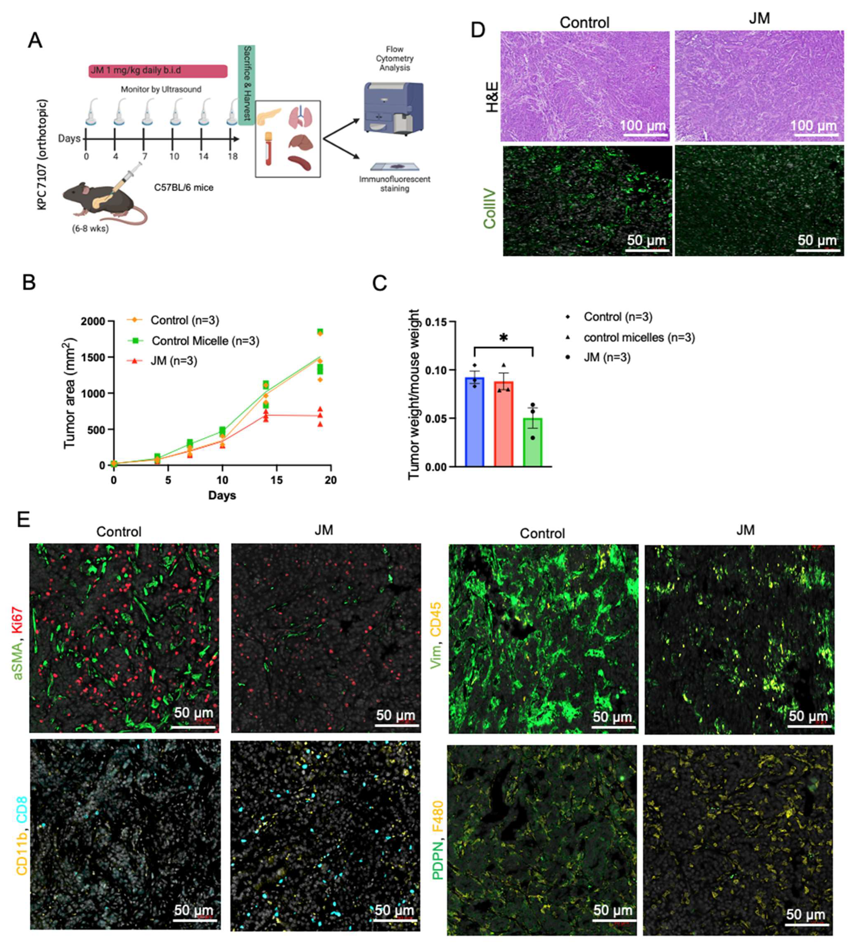 Pharmaceutics 15 02651 g006a