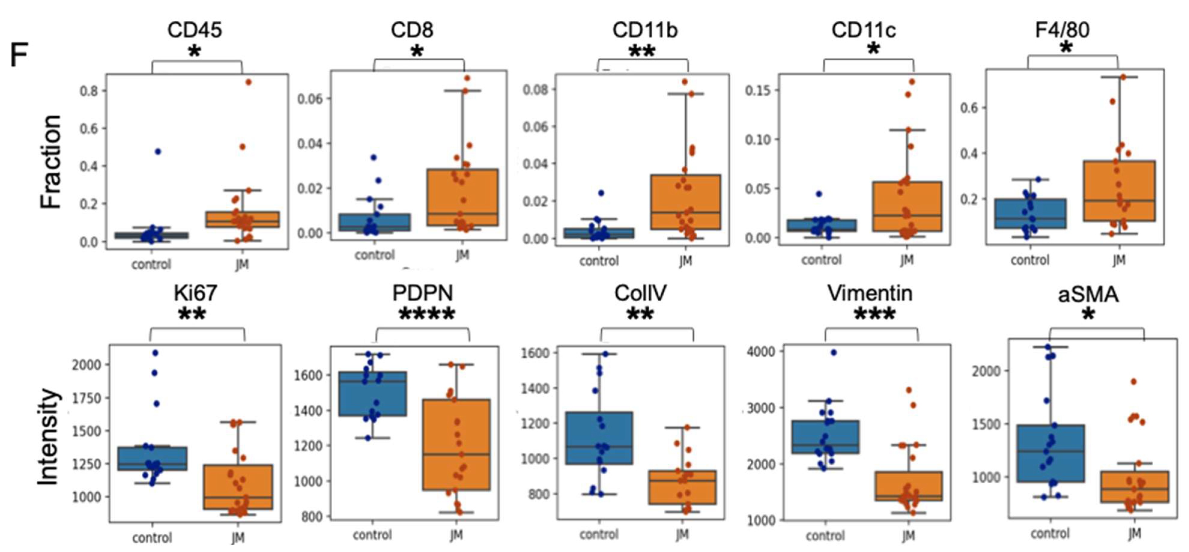 Pharmaceutics 15 02651 g006b