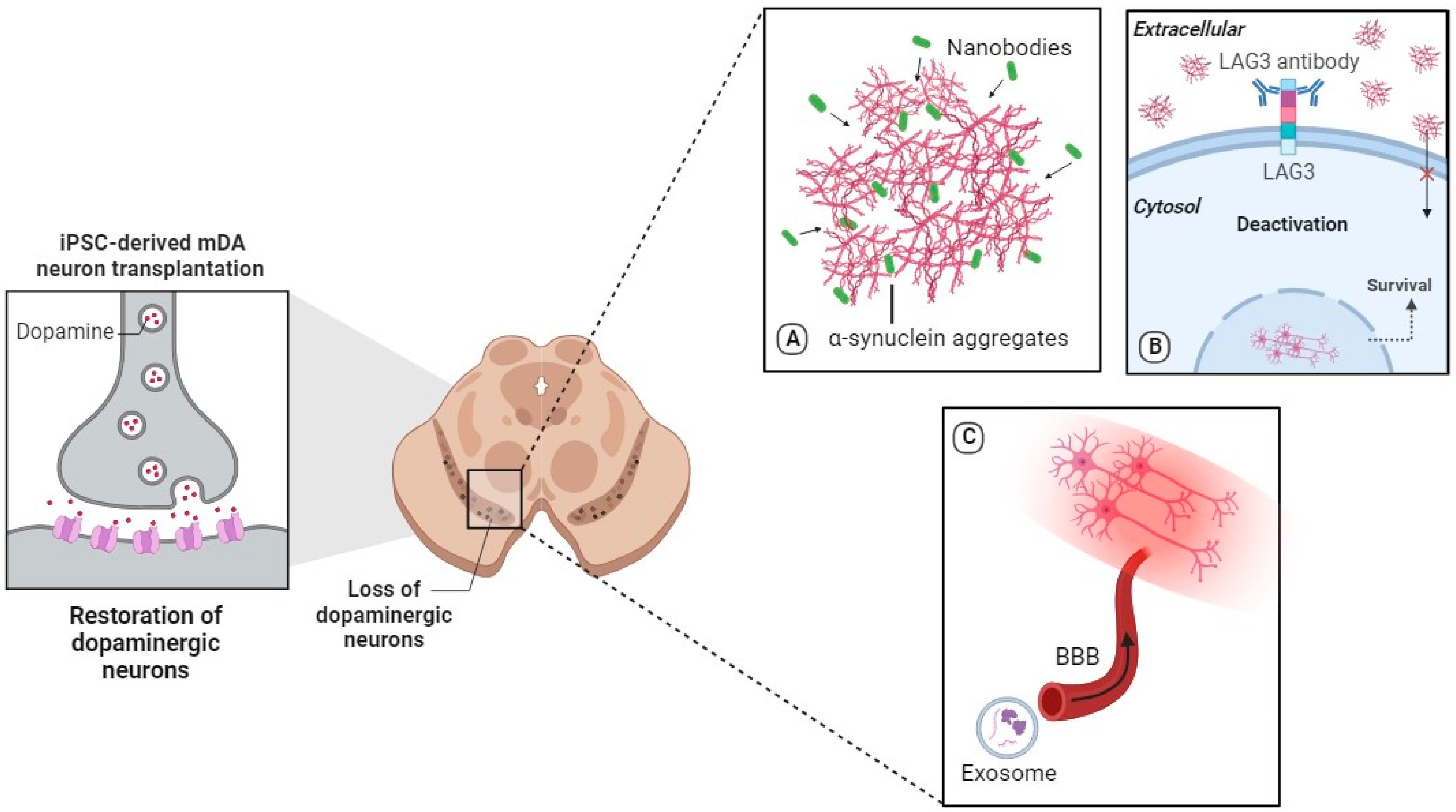 Pharmaceutics 15 02656 g002