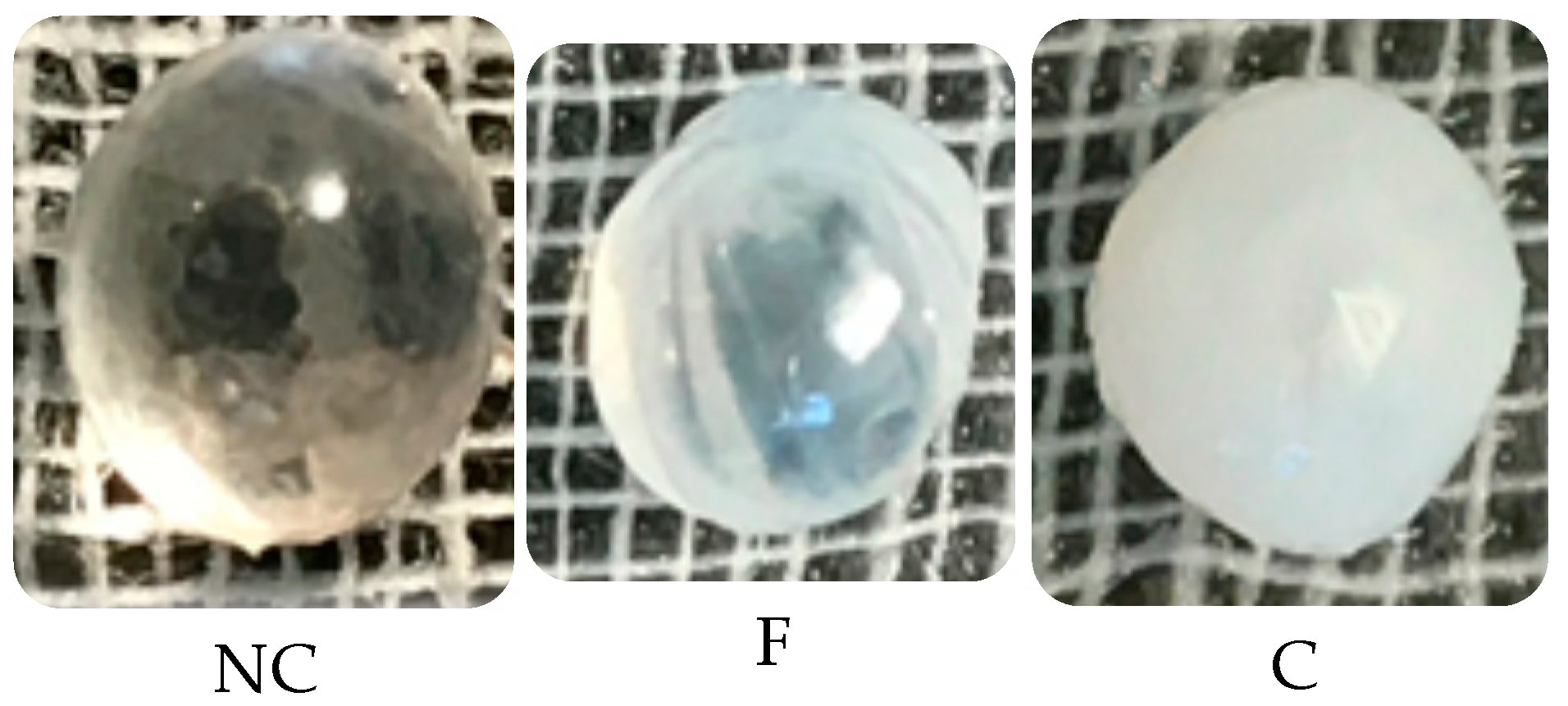 Pharmaceutics 15 02657 g005