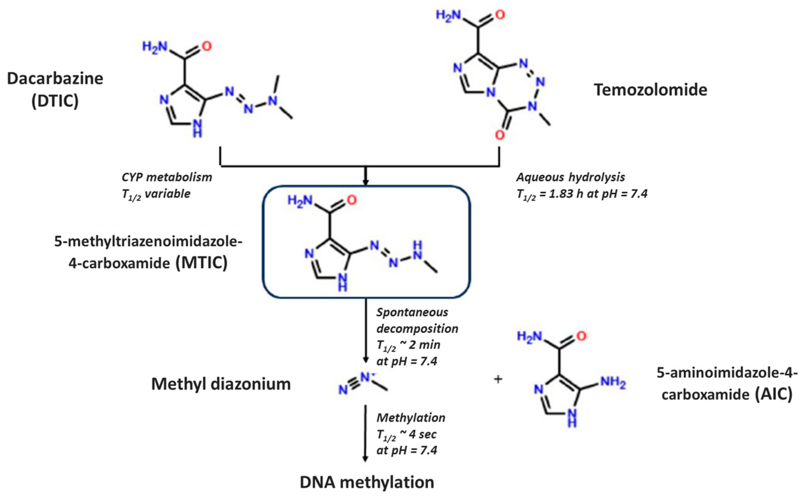 Pharmaceutics 15 02664 g001 Pharmaceutics 15 02664 g001