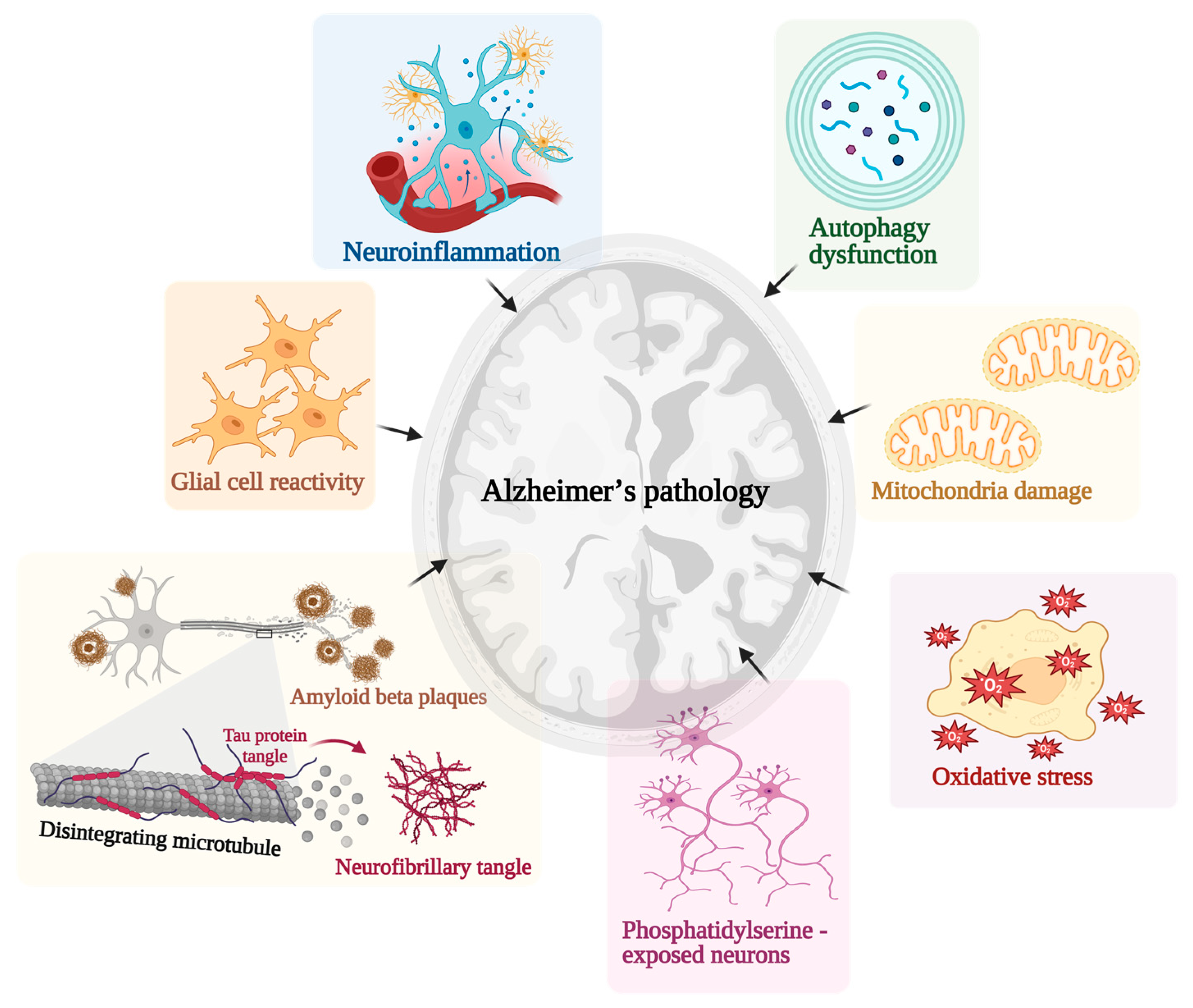 Pharmaceutics 15 02666 g002