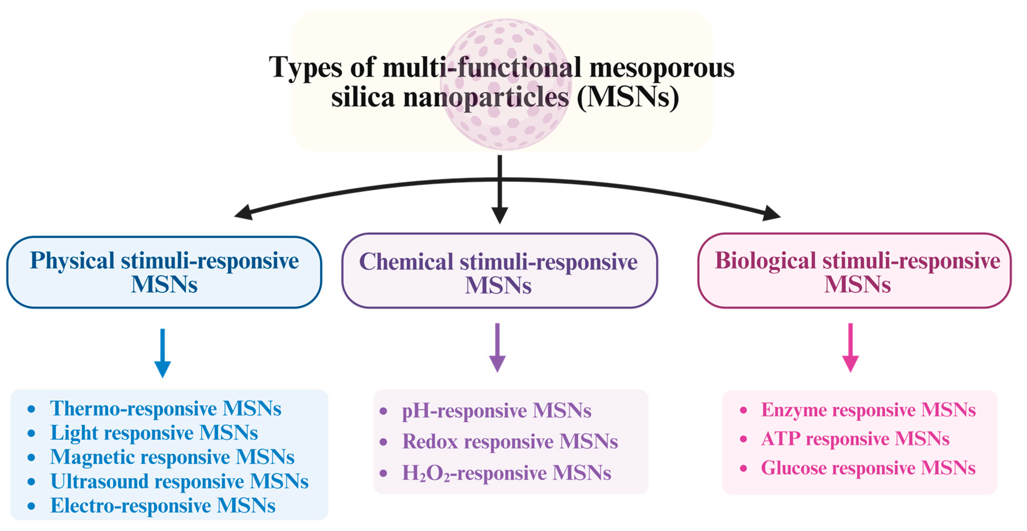 Pharmaceutics 15 02666 g003