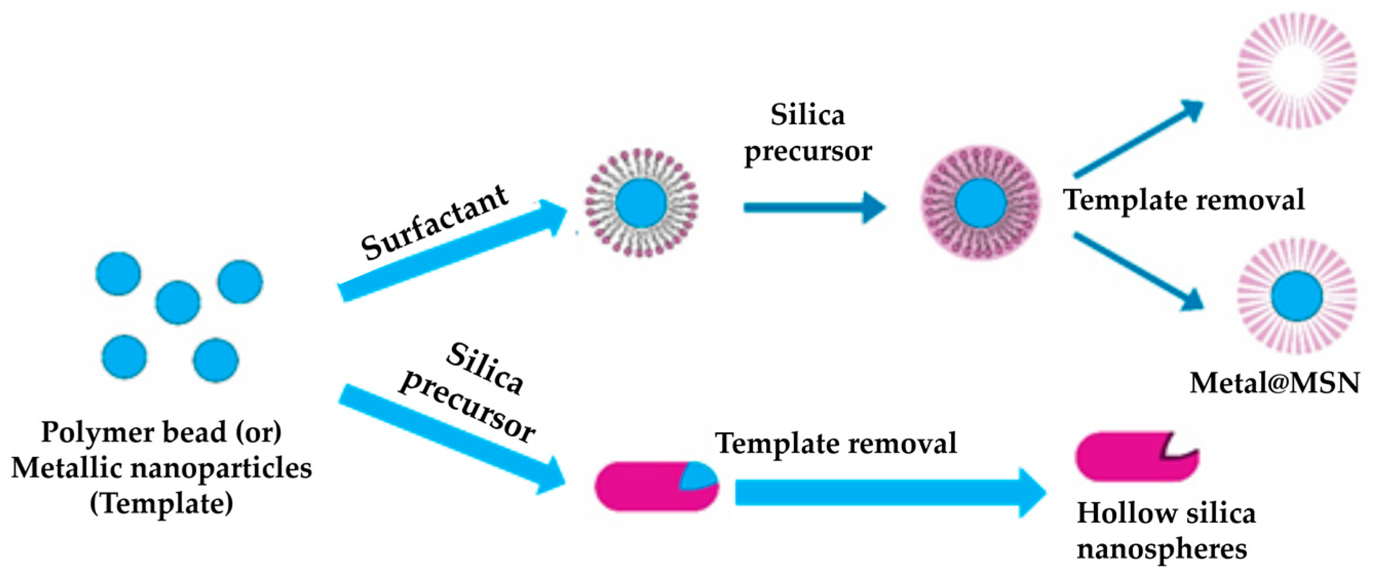 Pharmaceutics 15 02666 g005