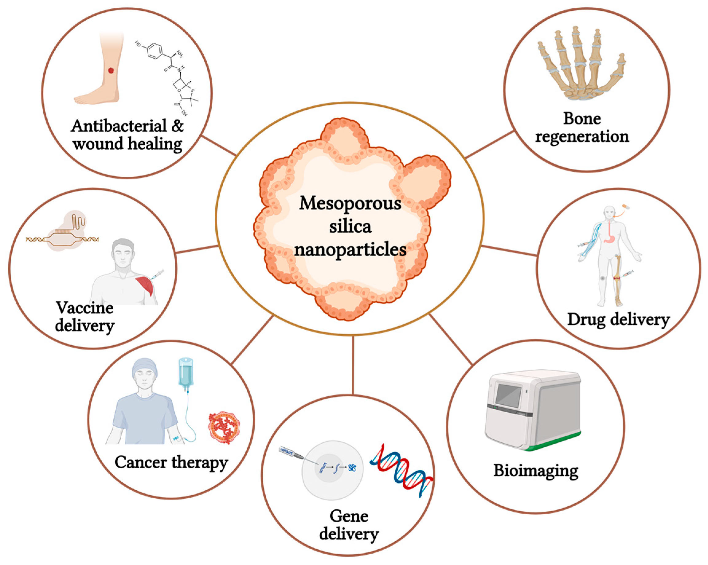 Pharmaceutics 15 02666 g006