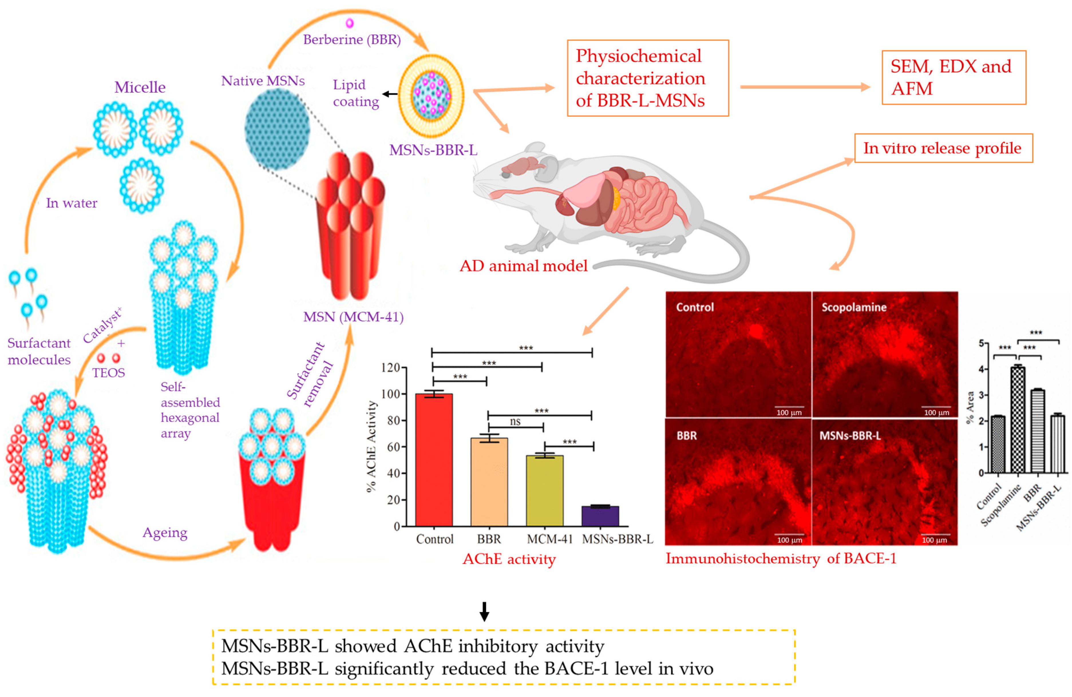 Pharmaceutics 15 02666 g007
