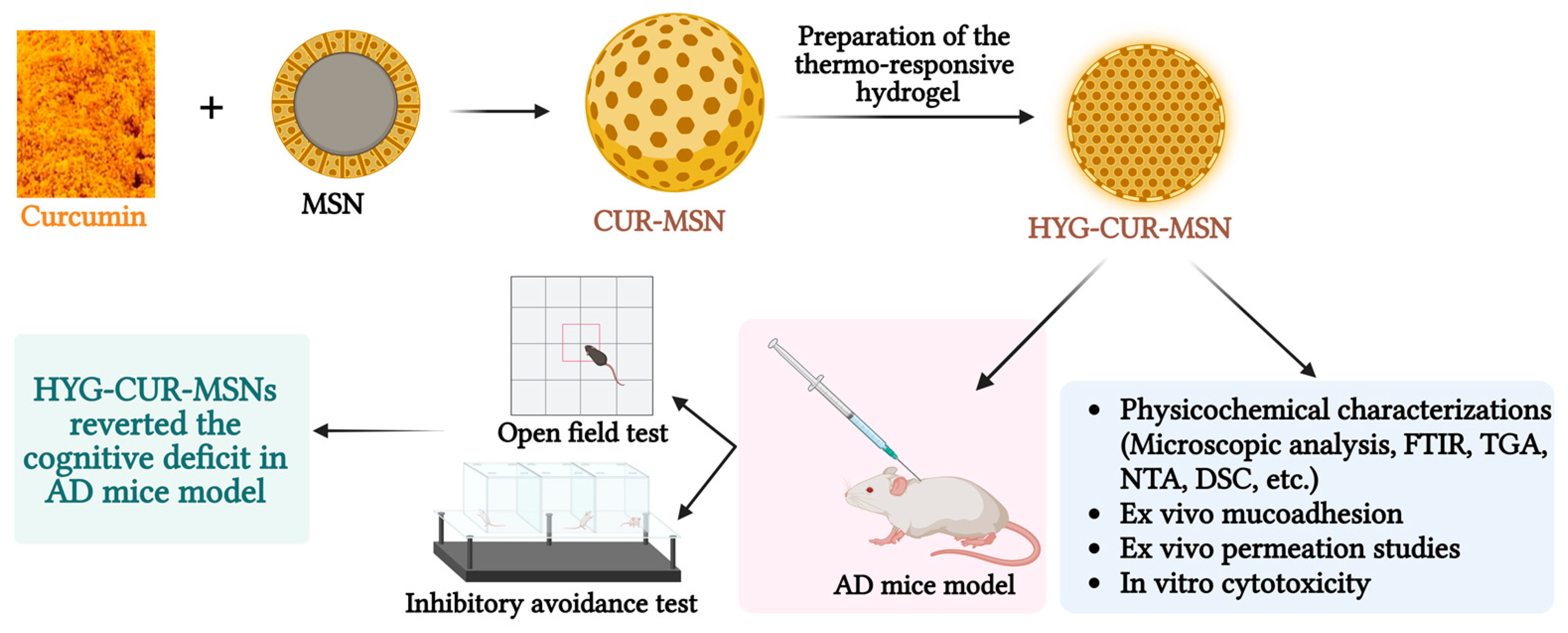 Pharmaceutics 15 02666 g008