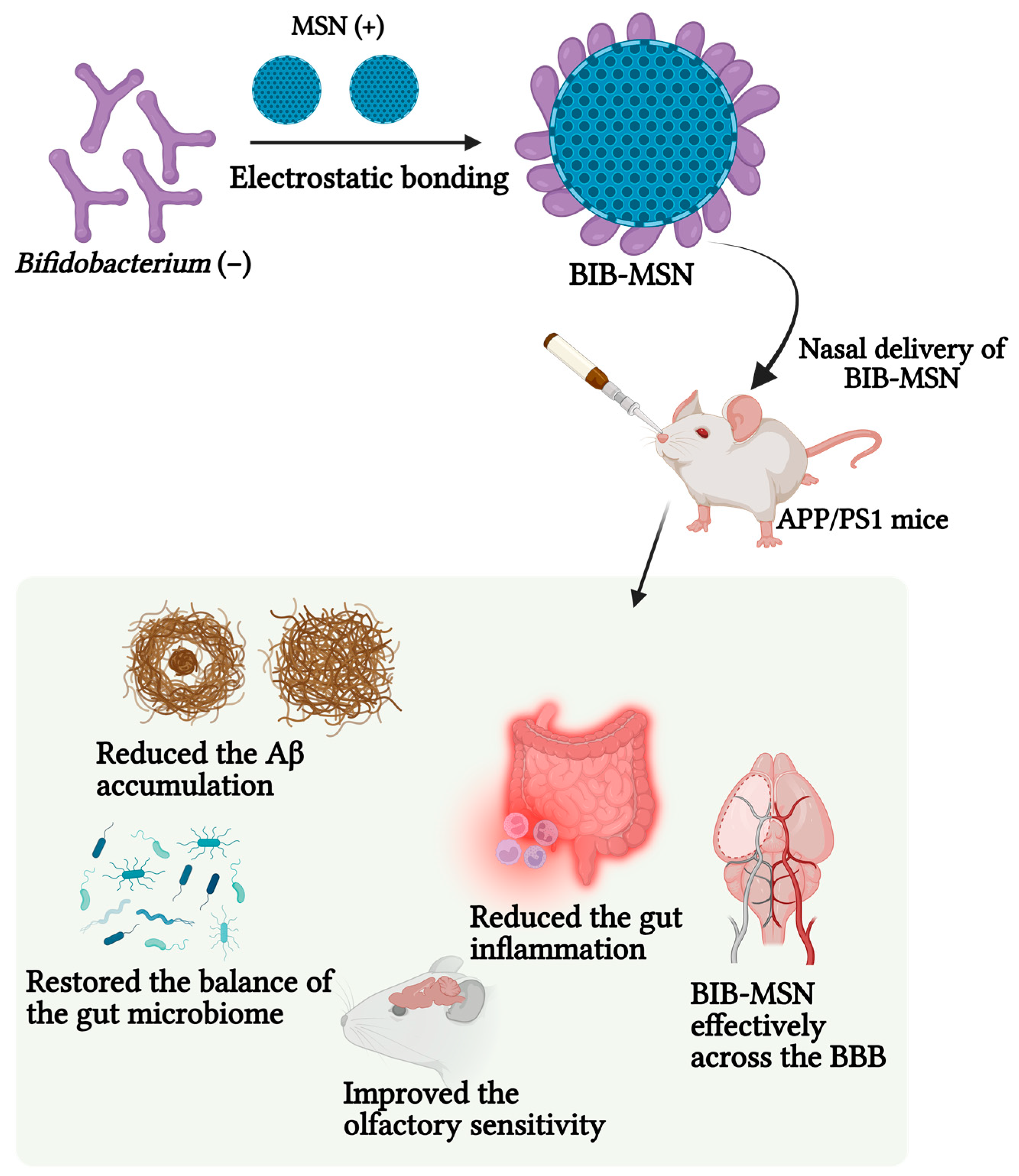 Pharmaceutics 15 02666 g010