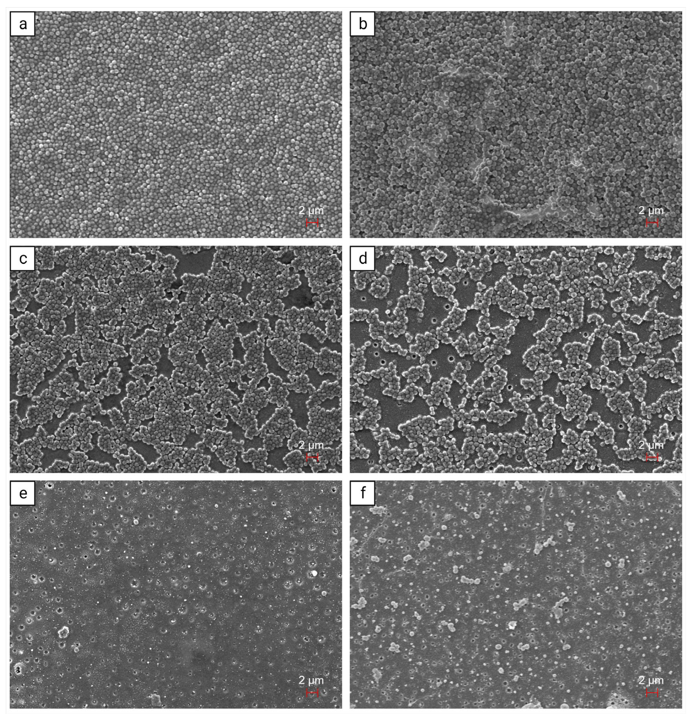 Pharmaceutics 15 02670 g003