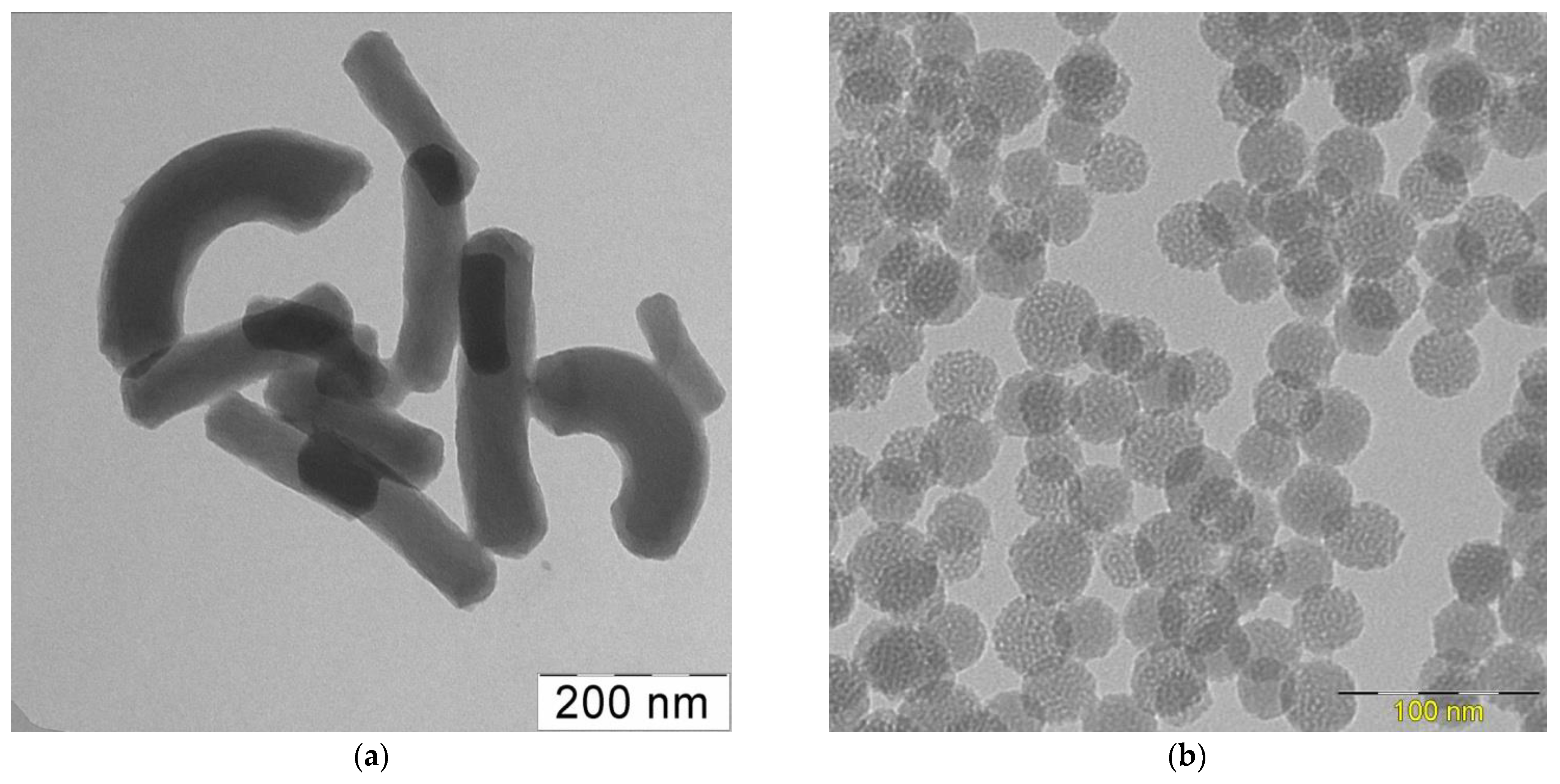 Pharmaceutics 15 02675 g004