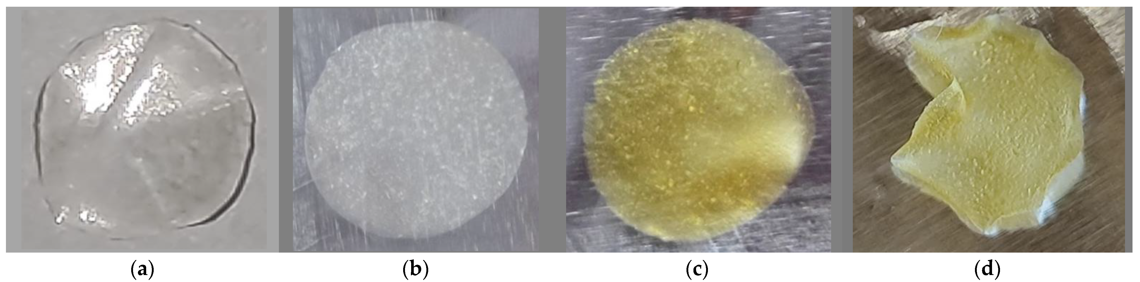 Pharmaceutics 15 02675 g005
