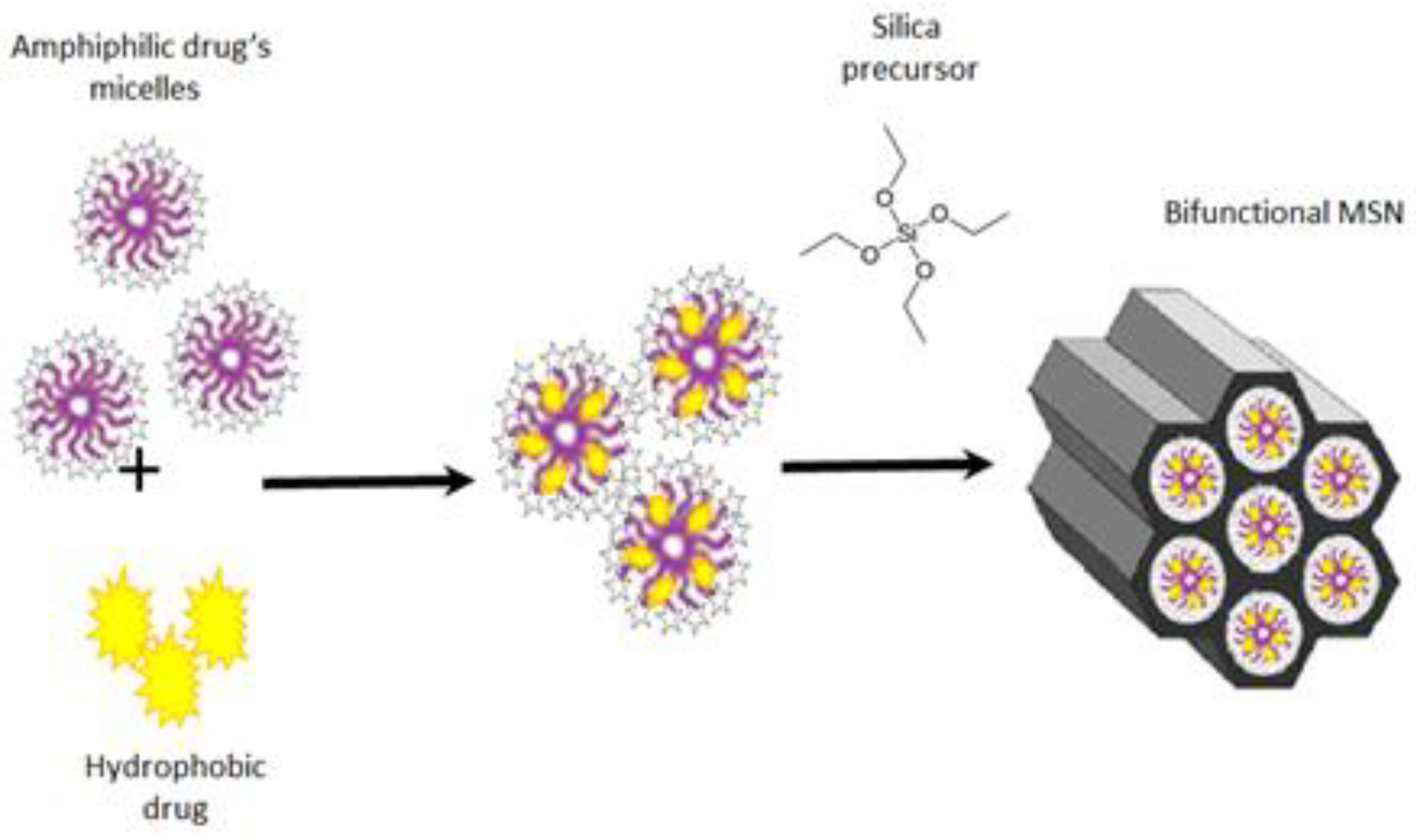 Pharmaceutics 15 02675 sch001