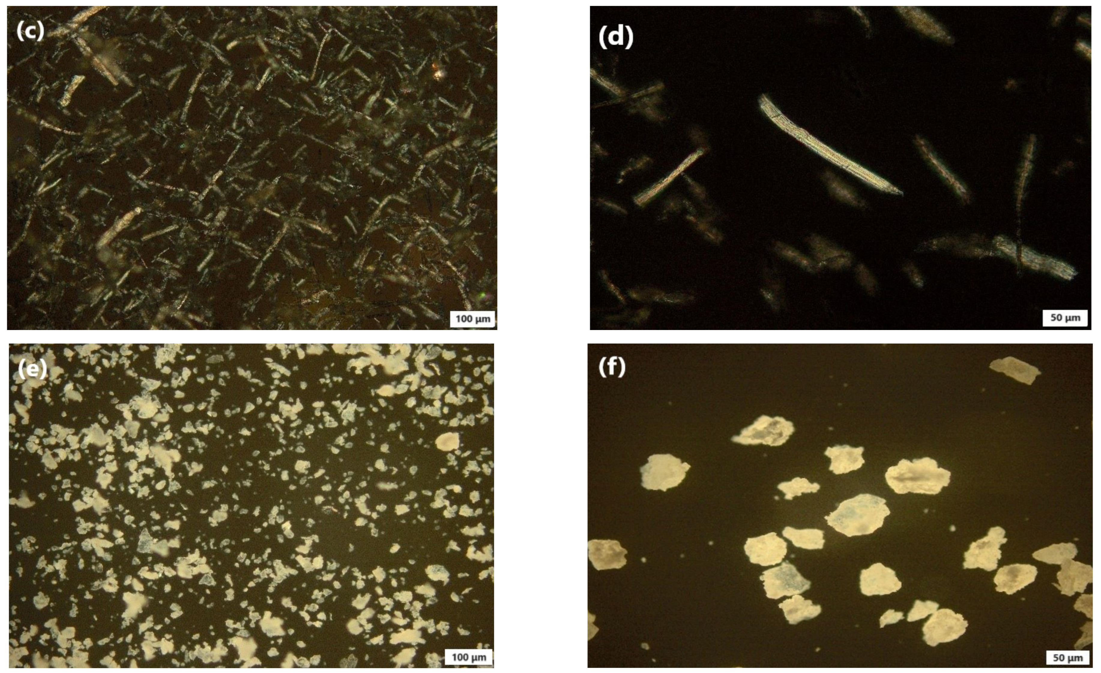 Pharmaceutics 15 02677 g006b