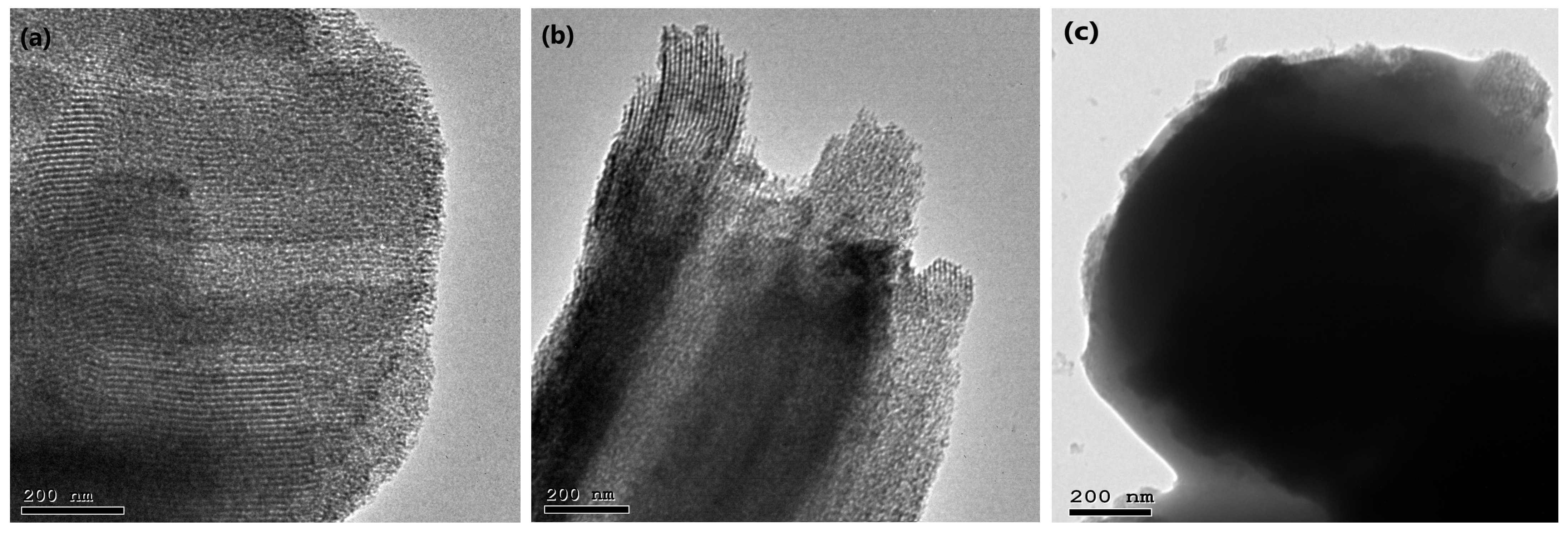 Pharmaceutics 15 02677 g007