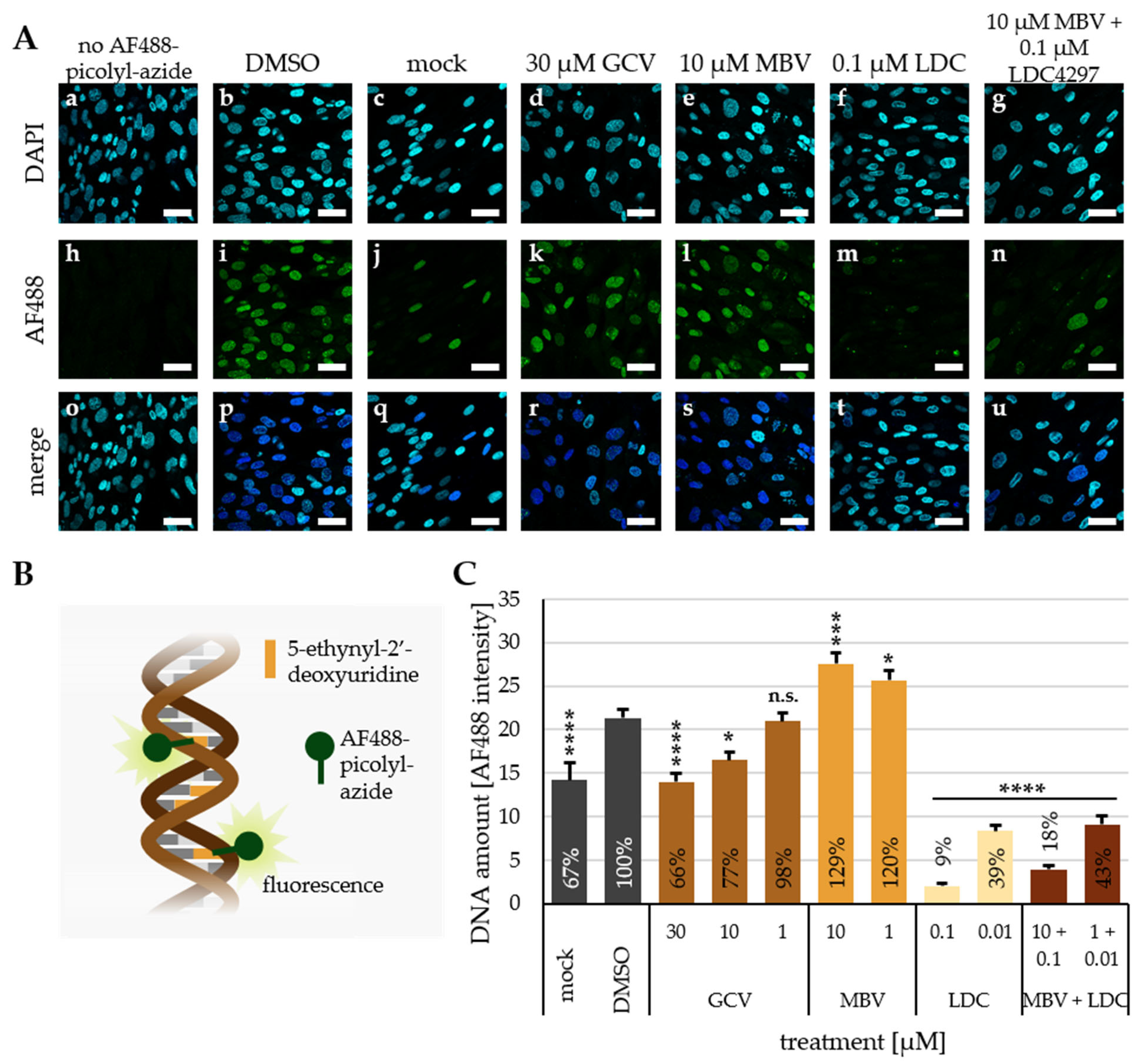 Pharmaceutics 15 02680 g004 Pharmaceutics 15 02680 g004