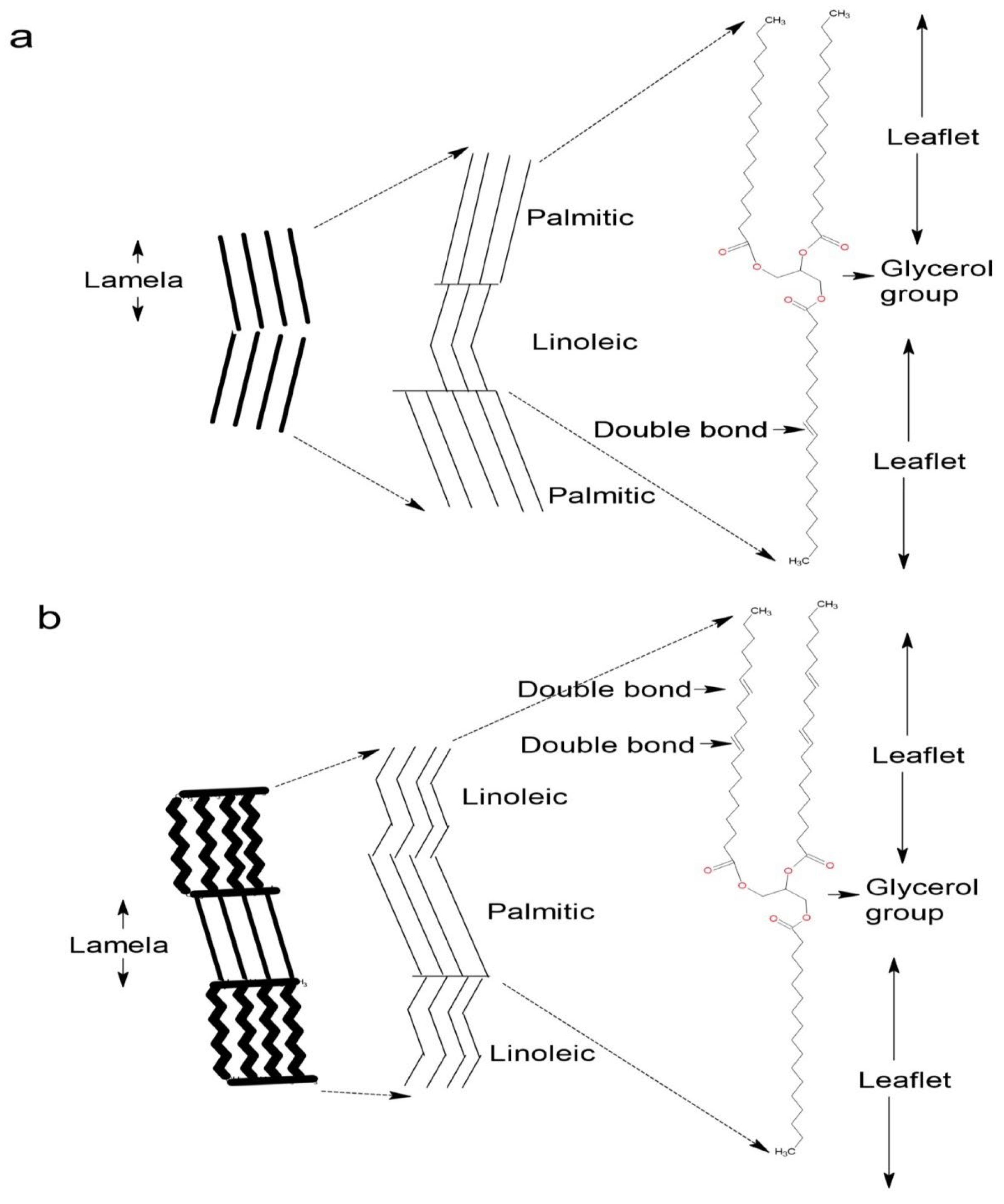 Pharmaceutics 15 02681 g003