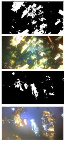 Pharmaceutics 15 02681 i001