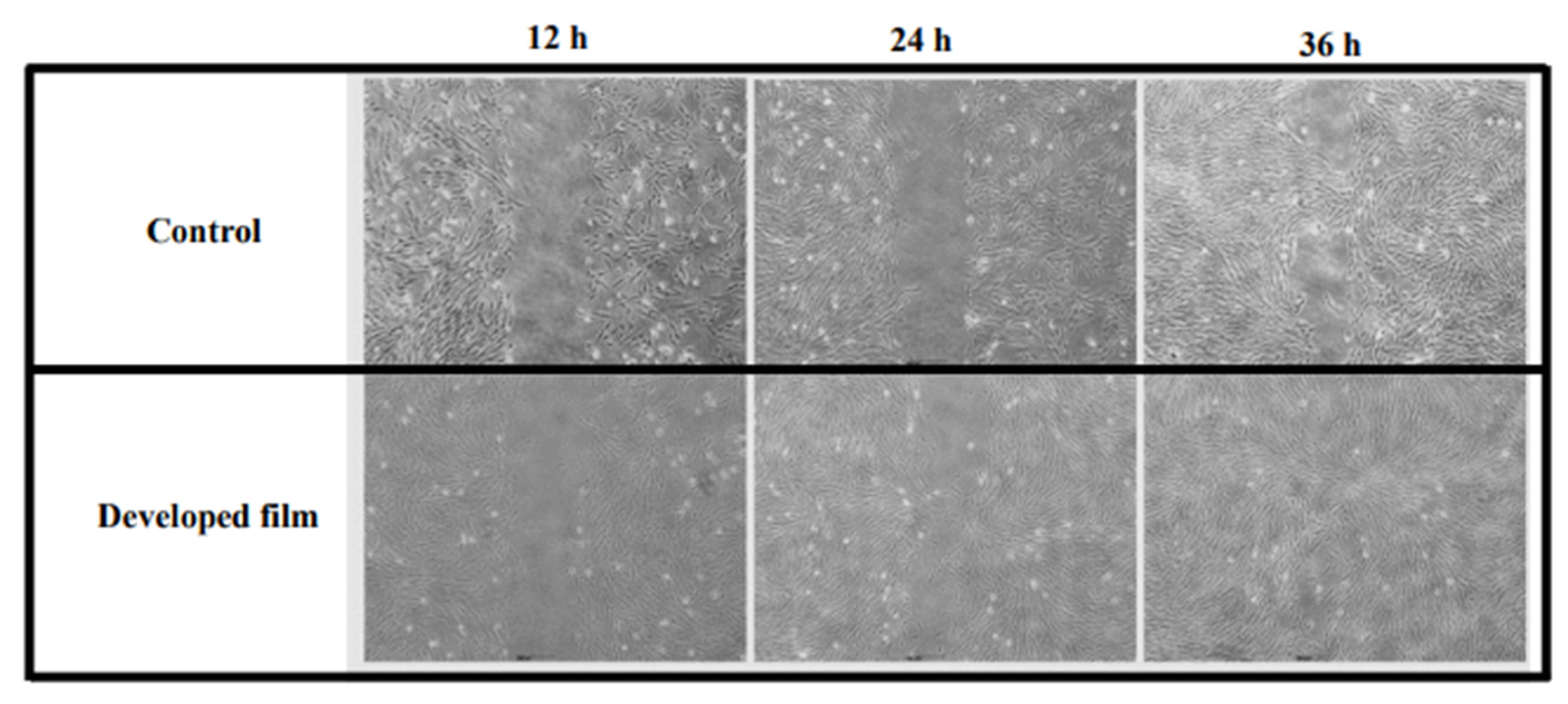Pharmaceutics 15 02682 g007