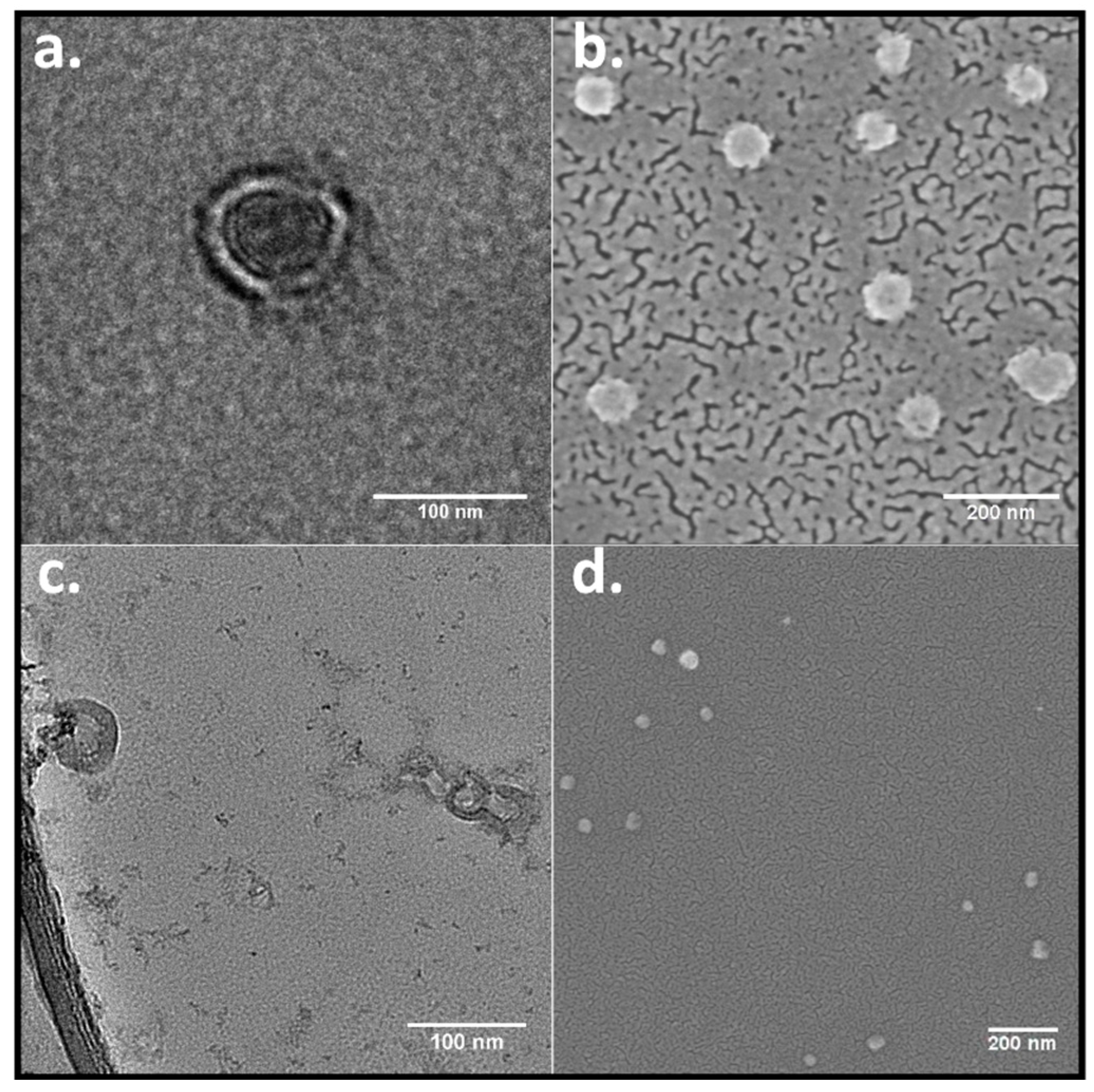 Pharmaceutics 15 02683 g003