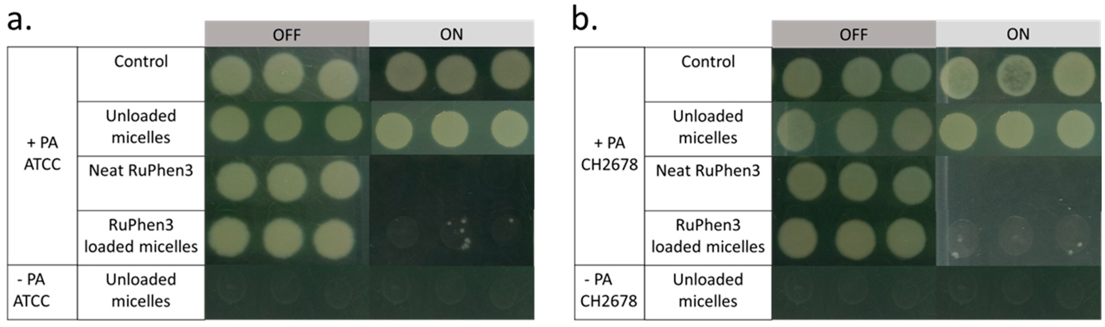 Pharmaceutics 15 02683 g008