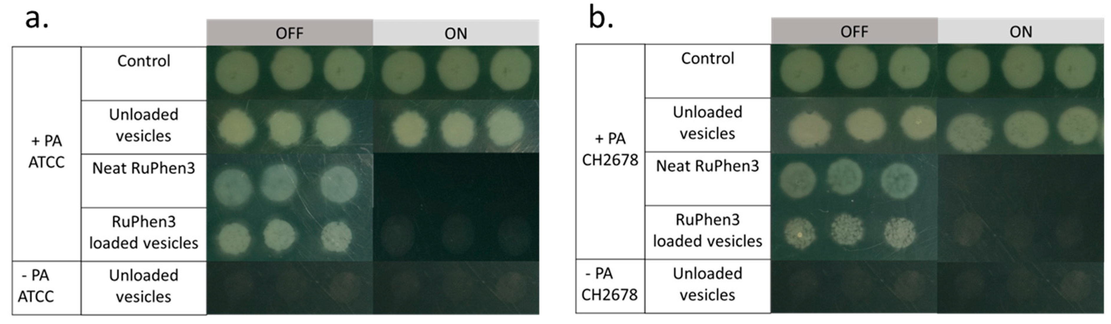 Pharmaceutics 15 02683 g010