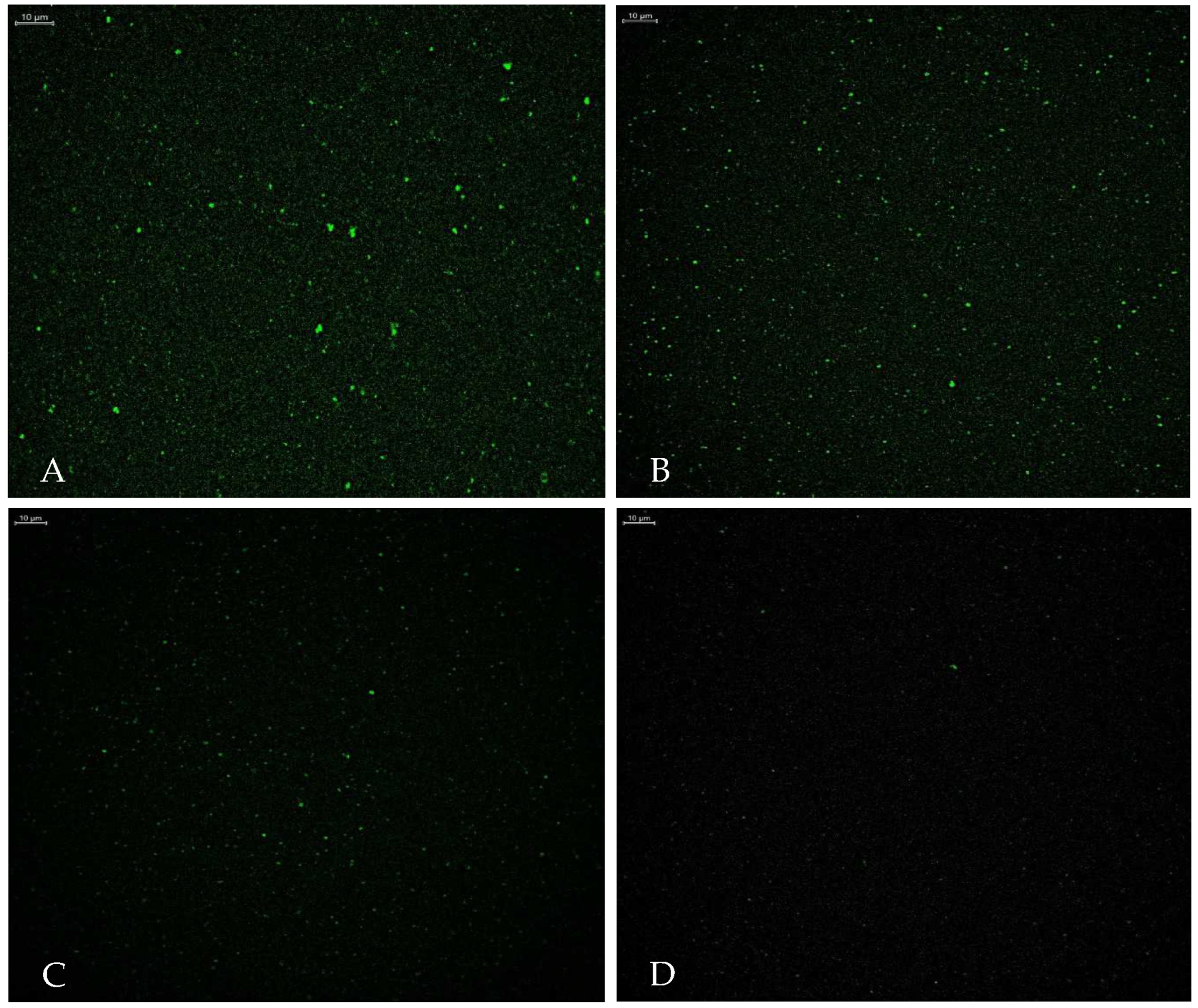 Pharmaceutics 15 02685 g005