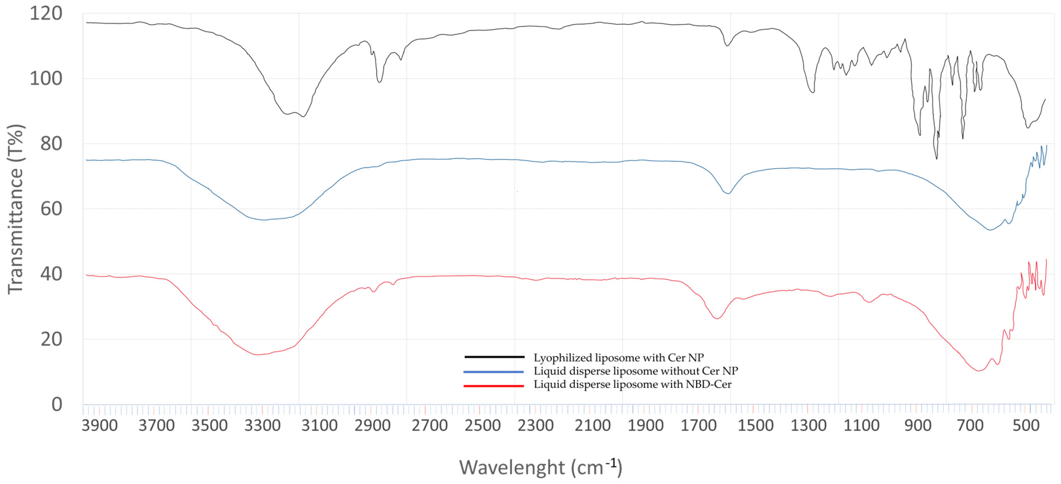 Pharmaceutics 15 02685 g007