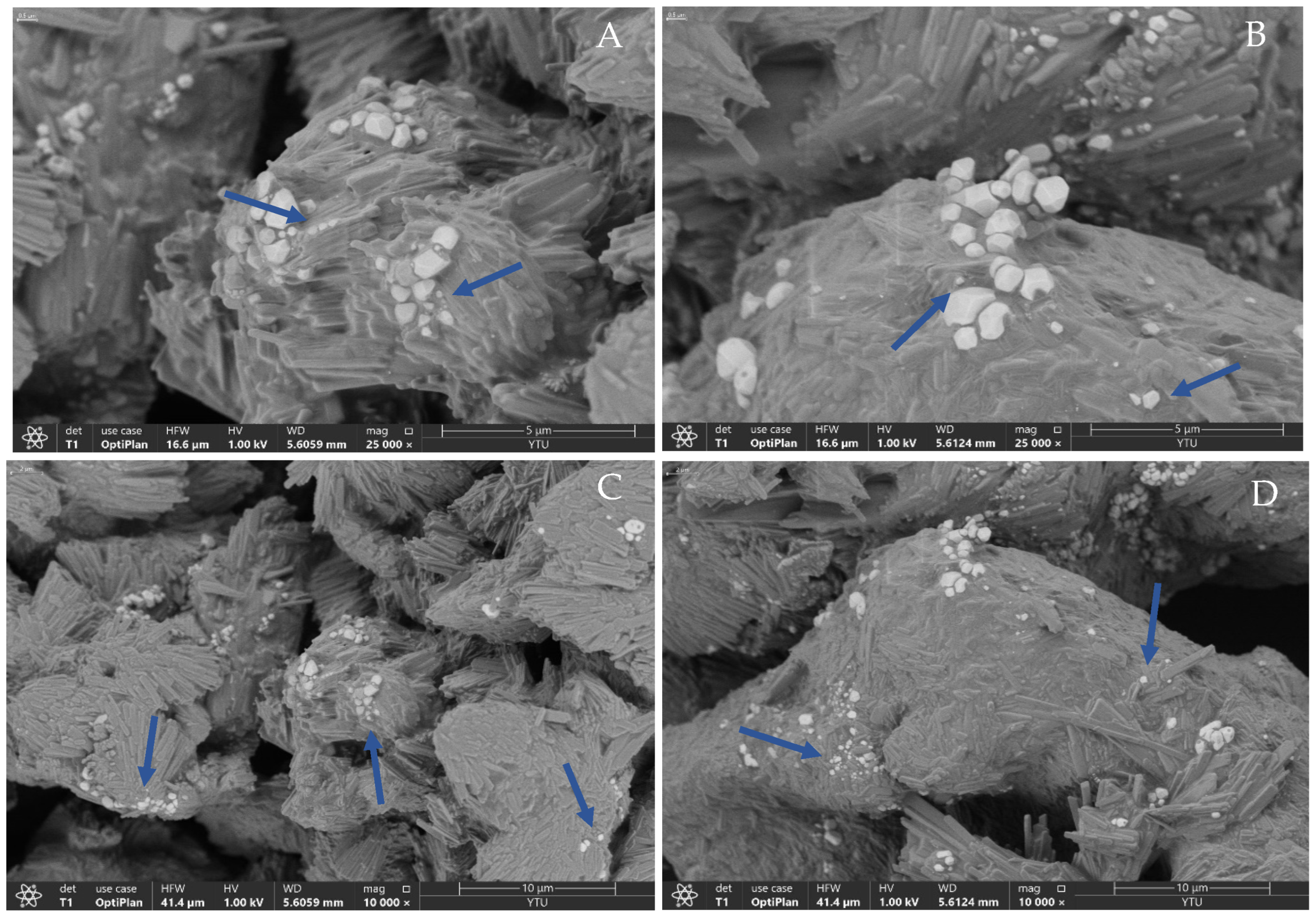 Pharmaceutics 15 02685 g008
