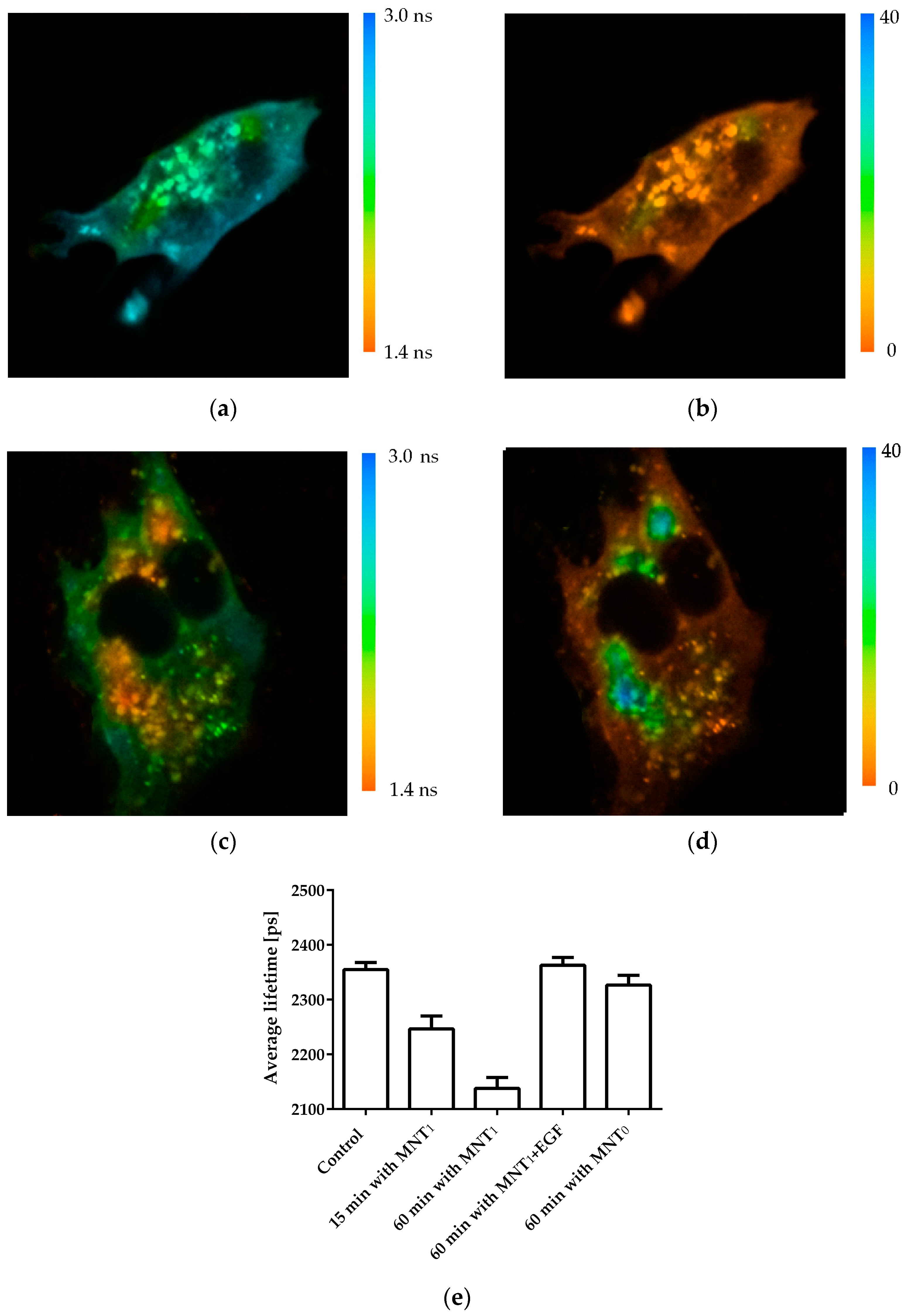 Pharmaceutics 15 02687 g003
