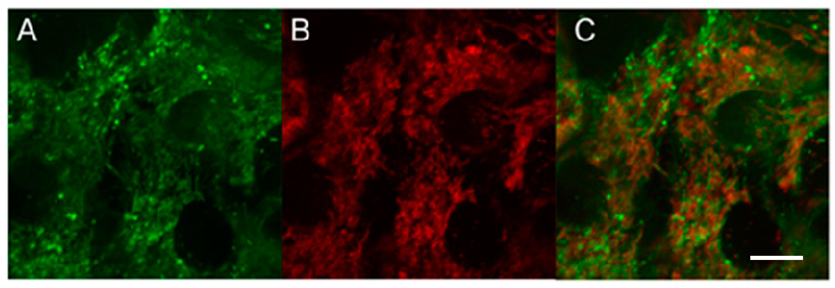 Pharmaceutics 15 02687 g006