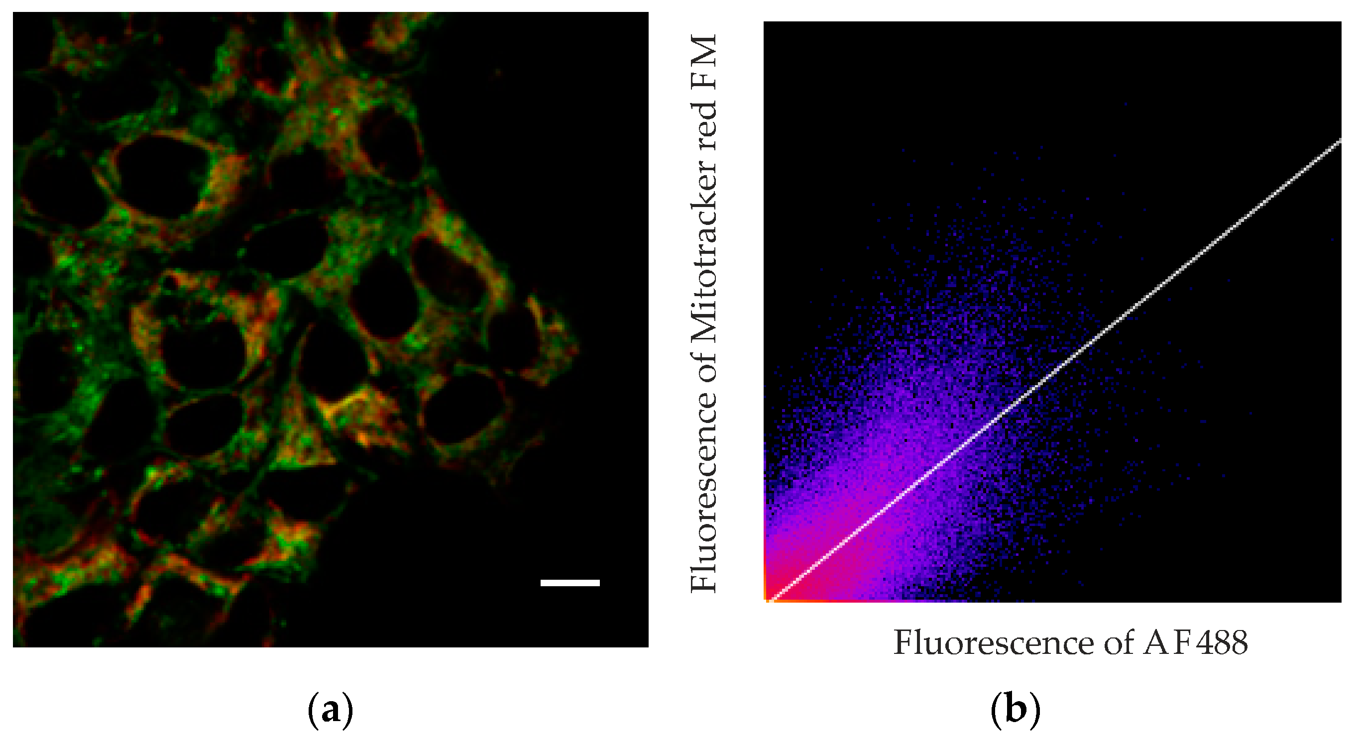 Pharmaceutics 15 02687 g007