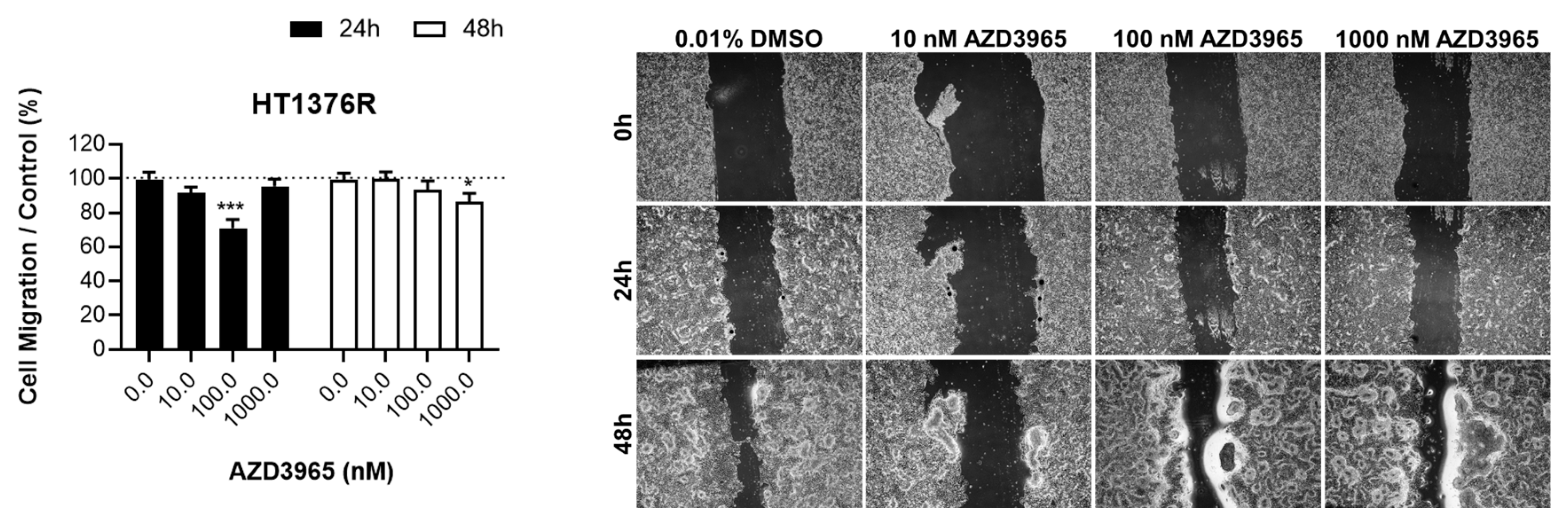 Pharmaceutics 15 02688 g005a