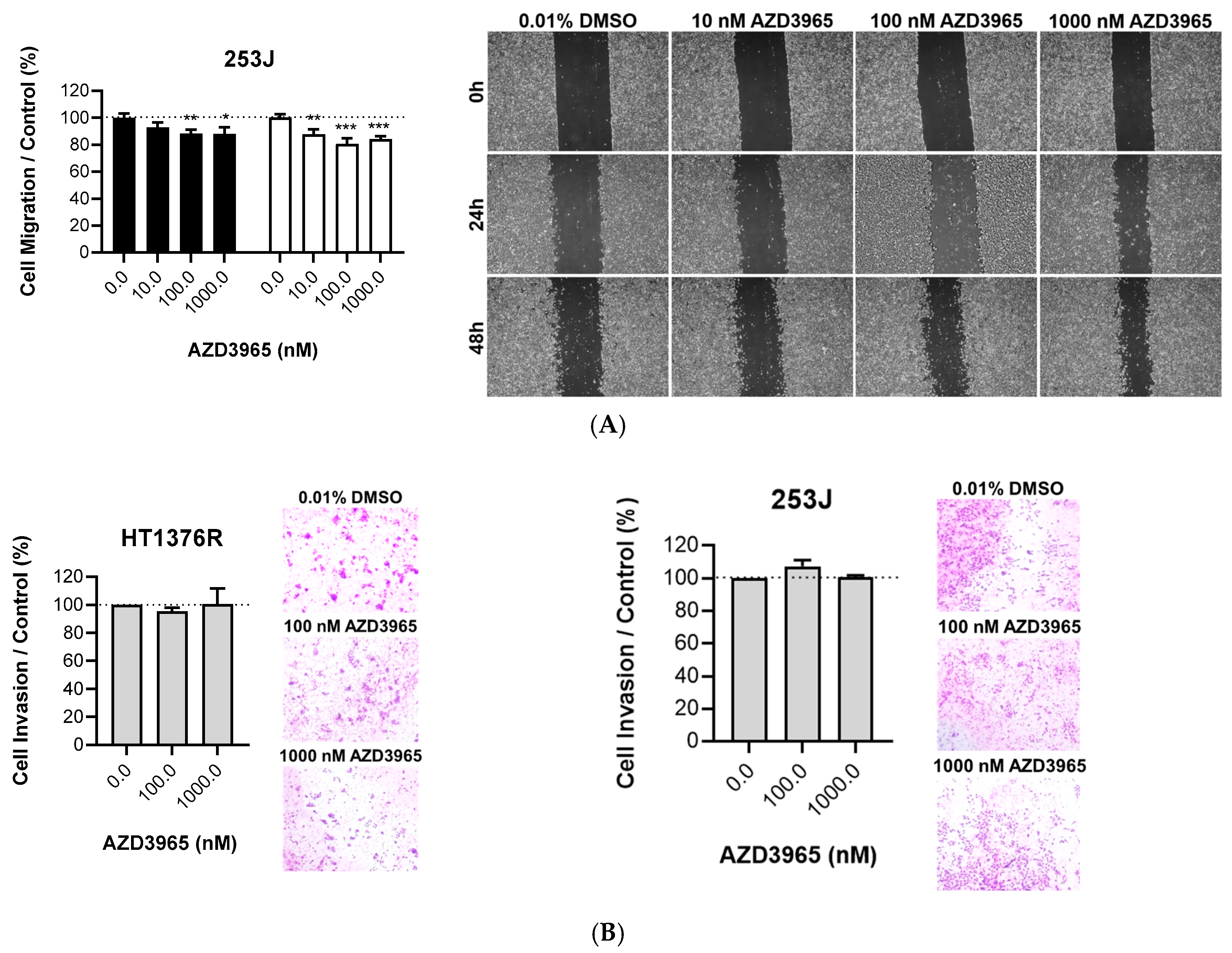 Pharmaceutics 15 02688 g005b