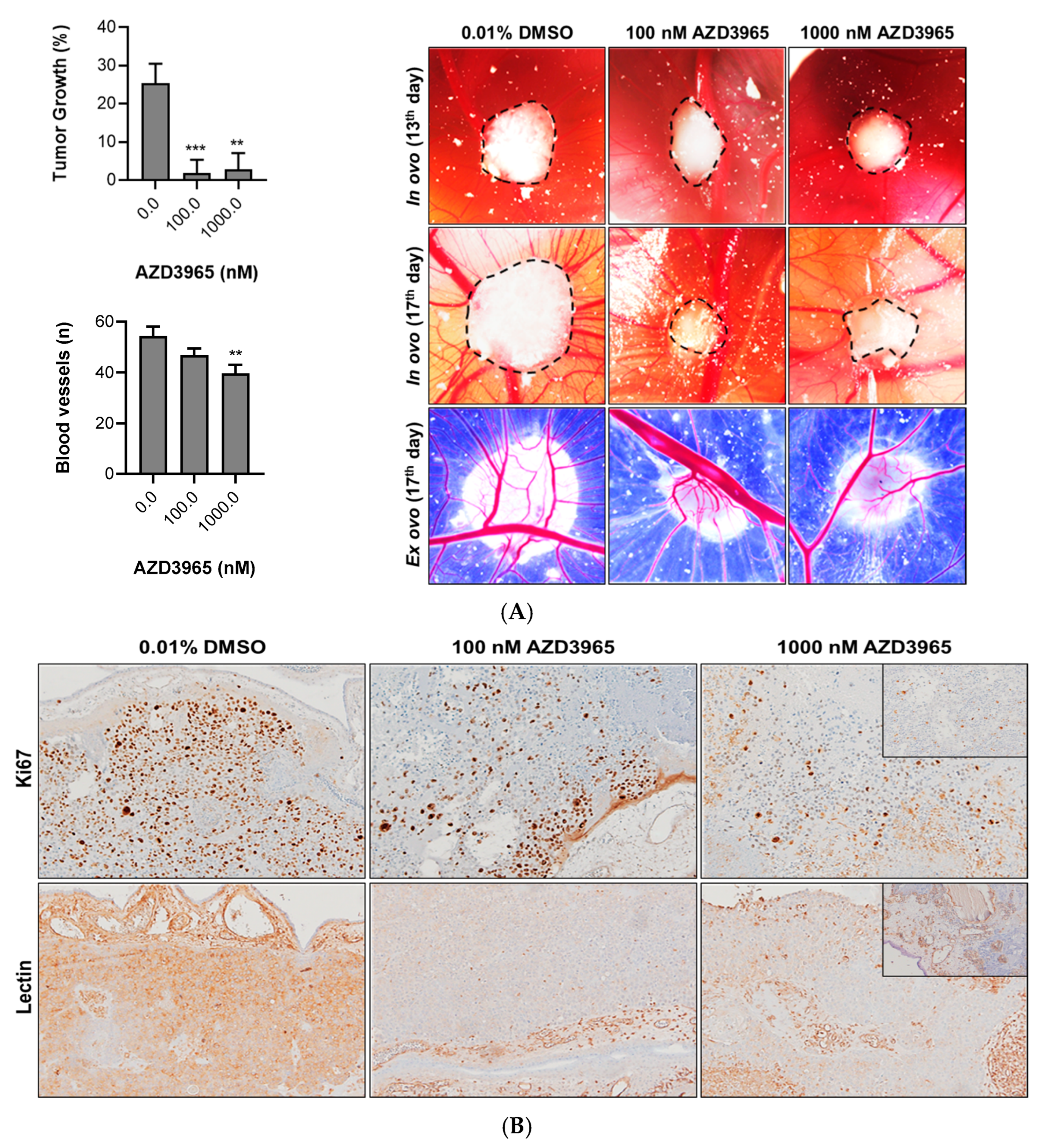 Pharmaceutics 15 02688 g006