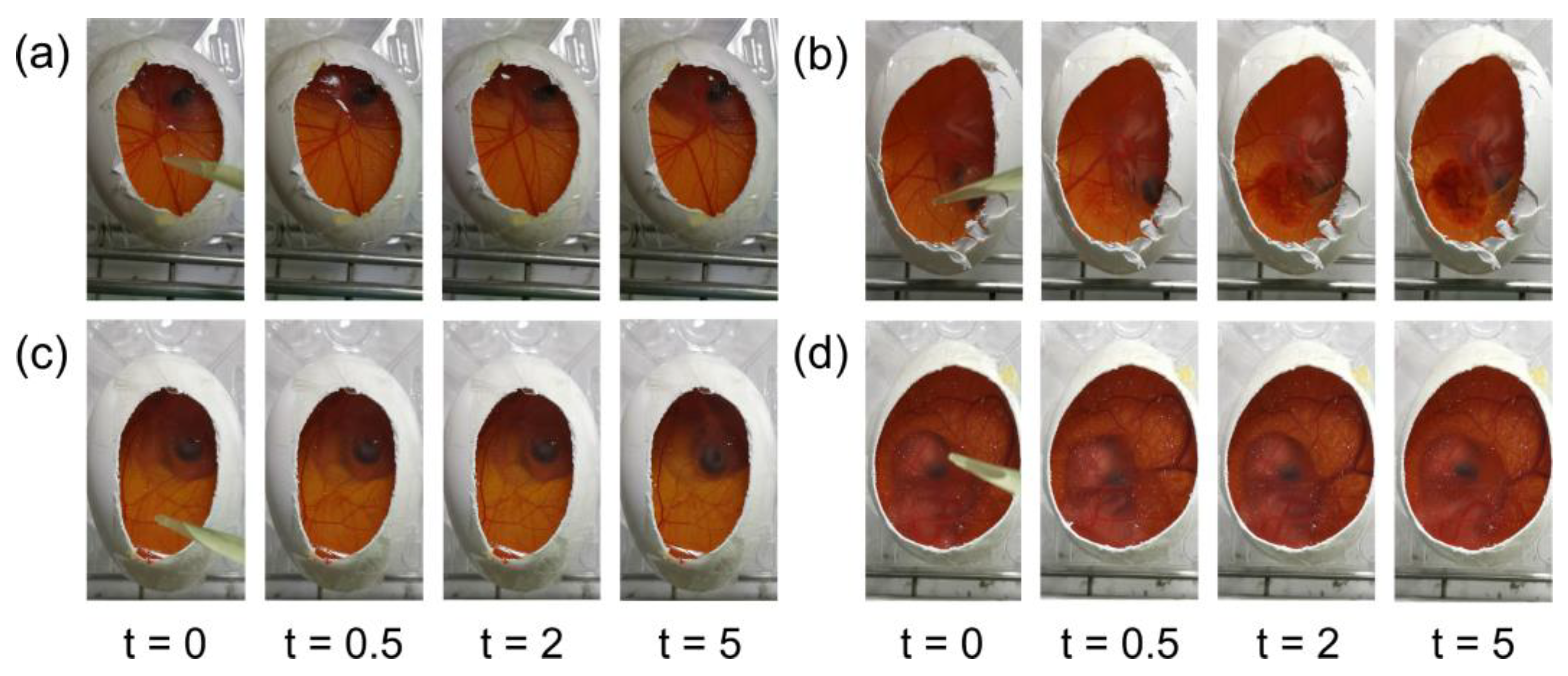 Pharmaceutics 15 02689 g002