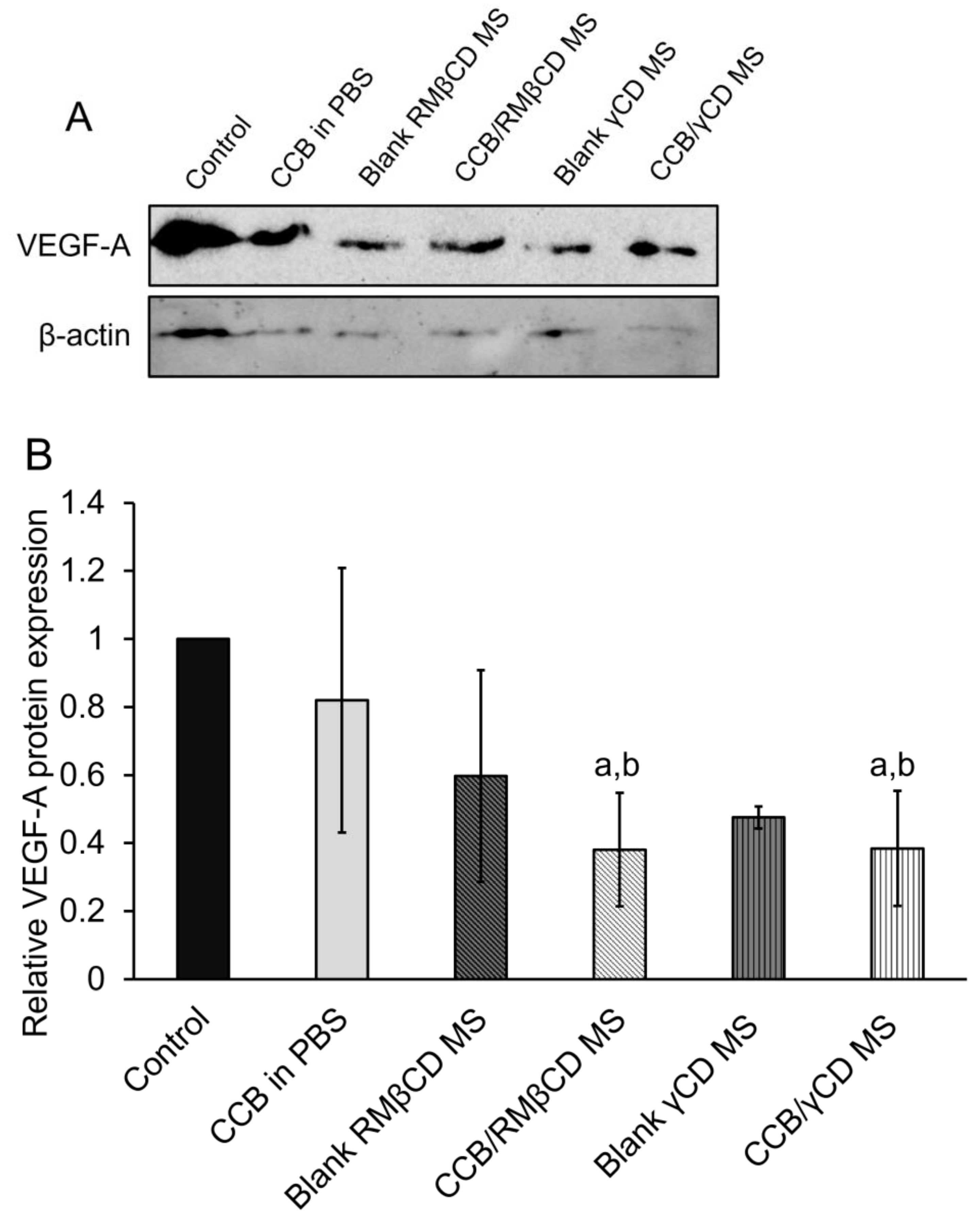 Pharmaceutics 15 02689 g004